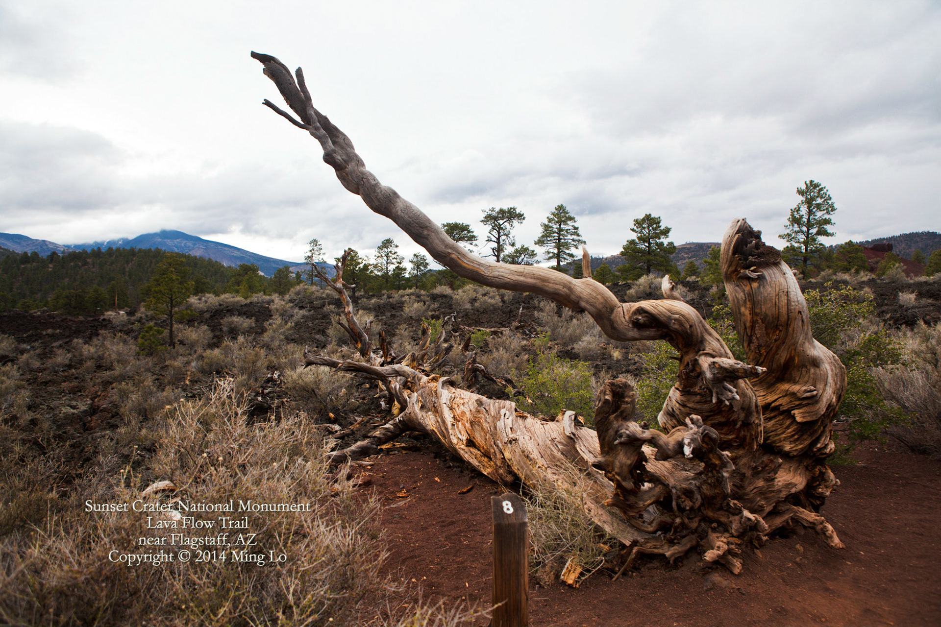 Sunset Crater National Monument, AZ