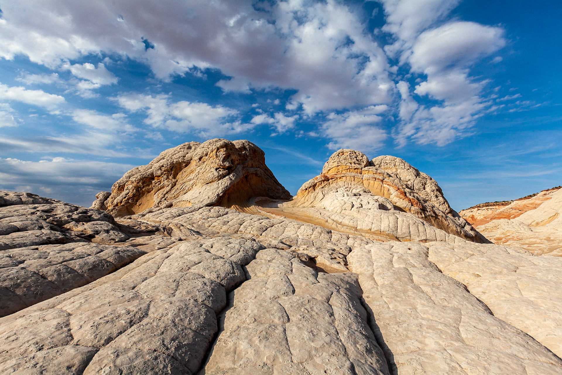 Vermillion Cliffs, AZ