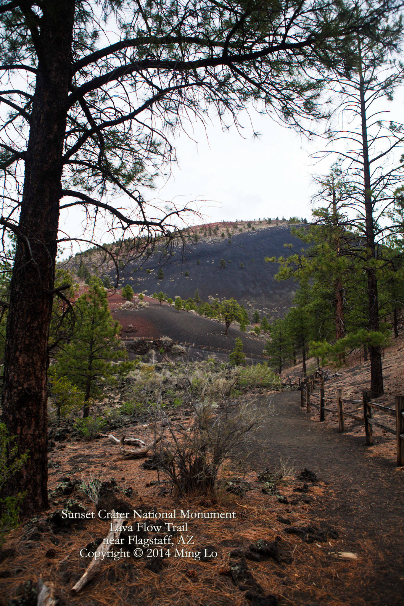Sunset Crater National Monument, AZ
