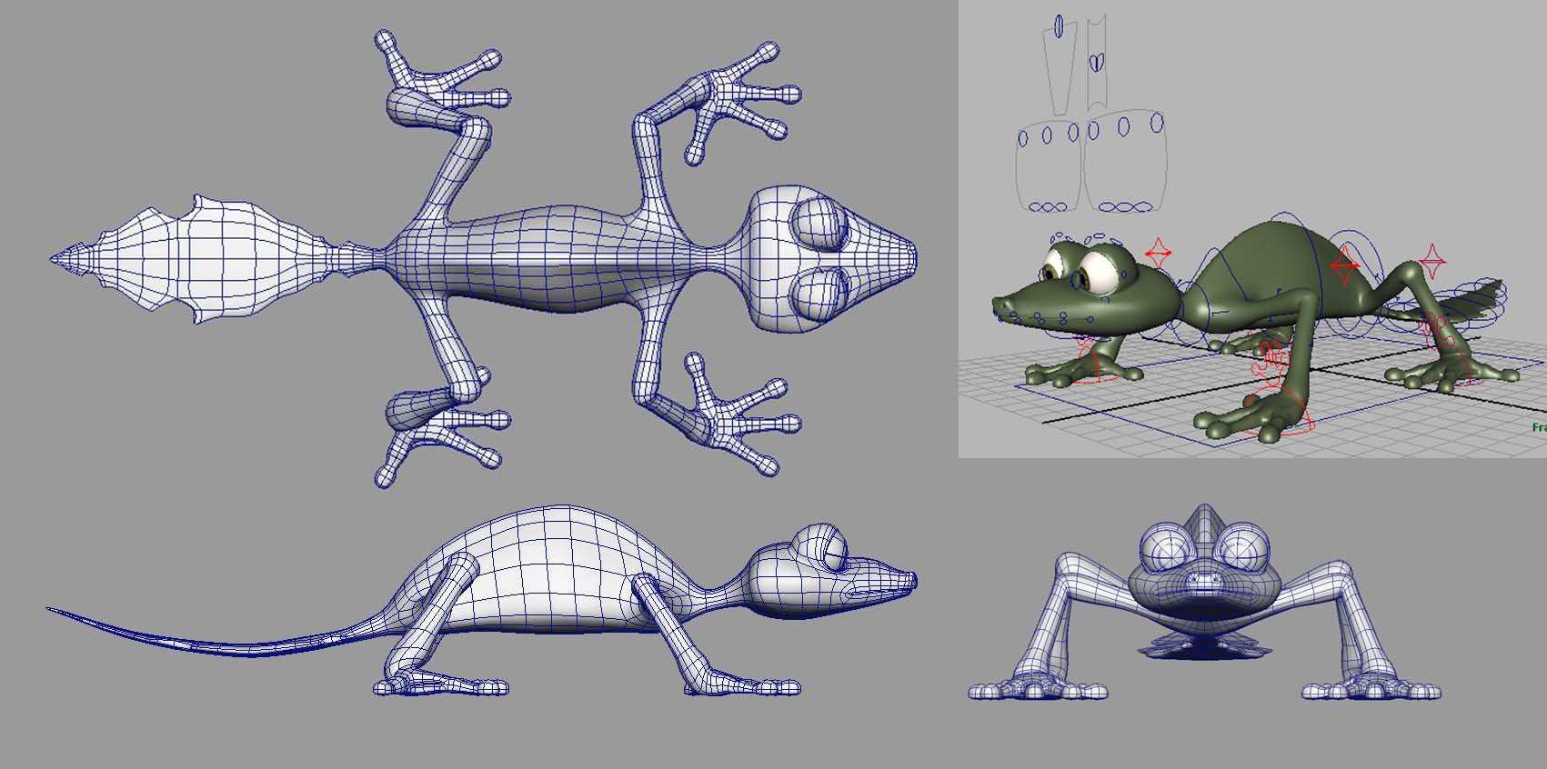 3d Modeled Lizard Wireframe + Rig