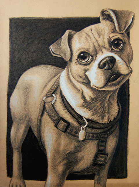 Charcoal Dog Portrait