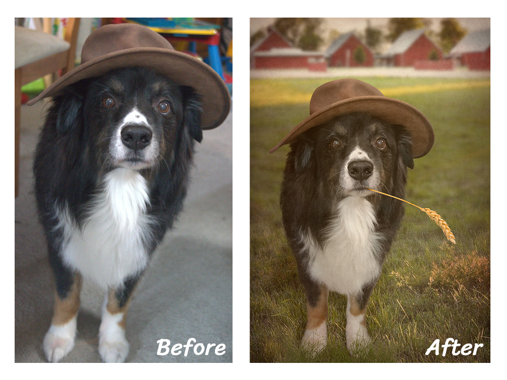 Isolated Subj to Change BG, Color Edited