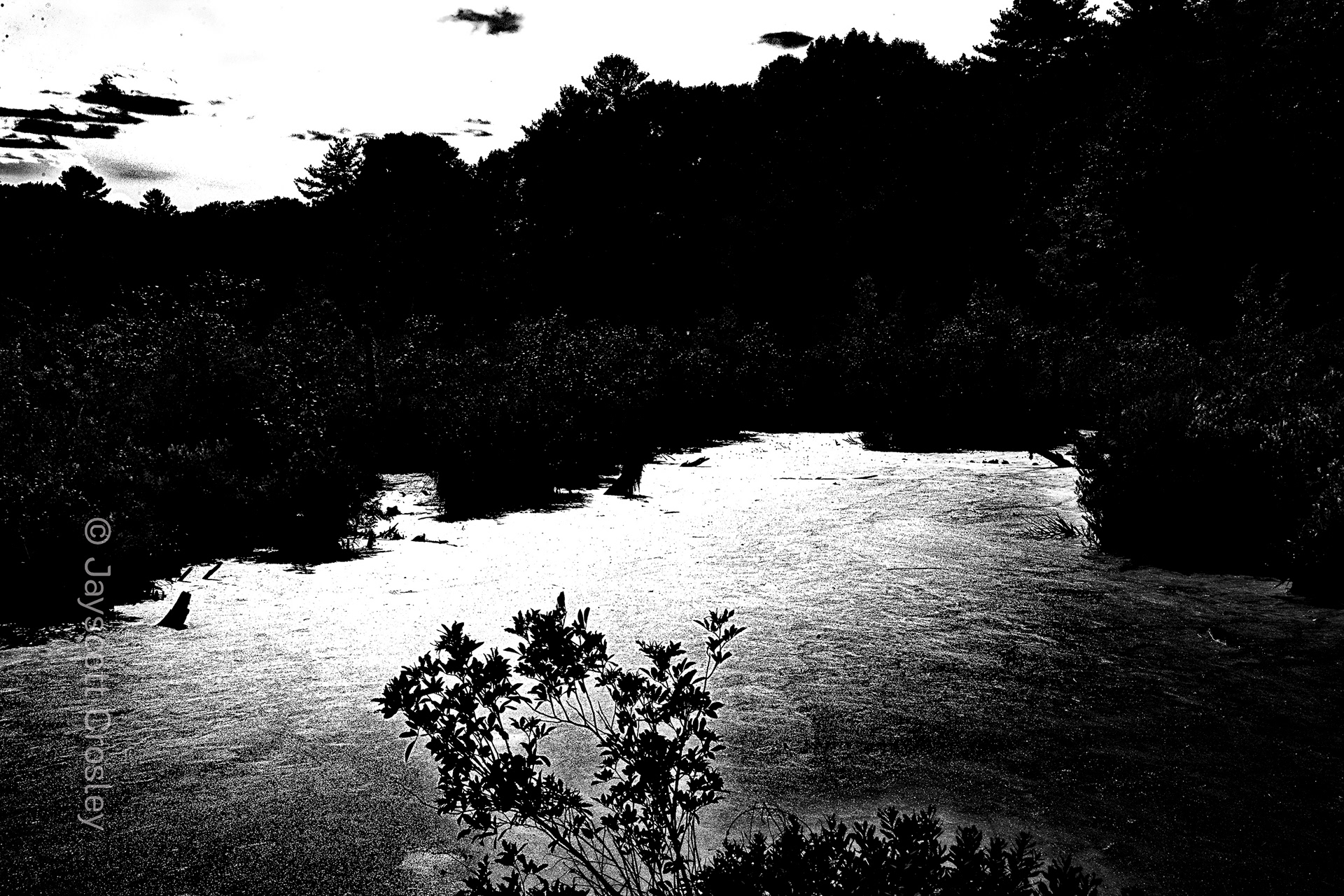 High_Contrast_Safari_Danvers_MA_Swampwalk part of the rails to trails sysemt_F16_1/32_IS0 100_photo by Jayscott Crosley