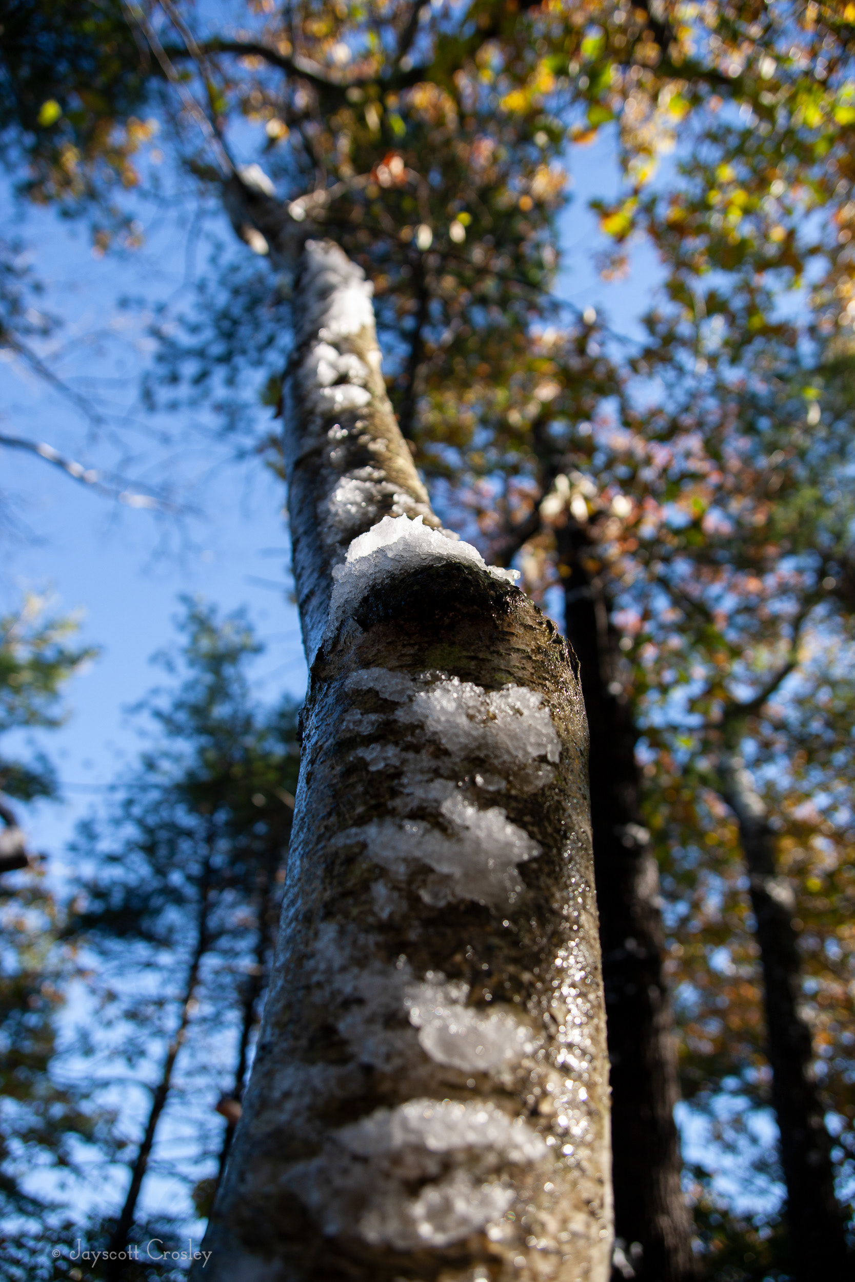 13. Icy Ascent - photo by Jayscott Crosley