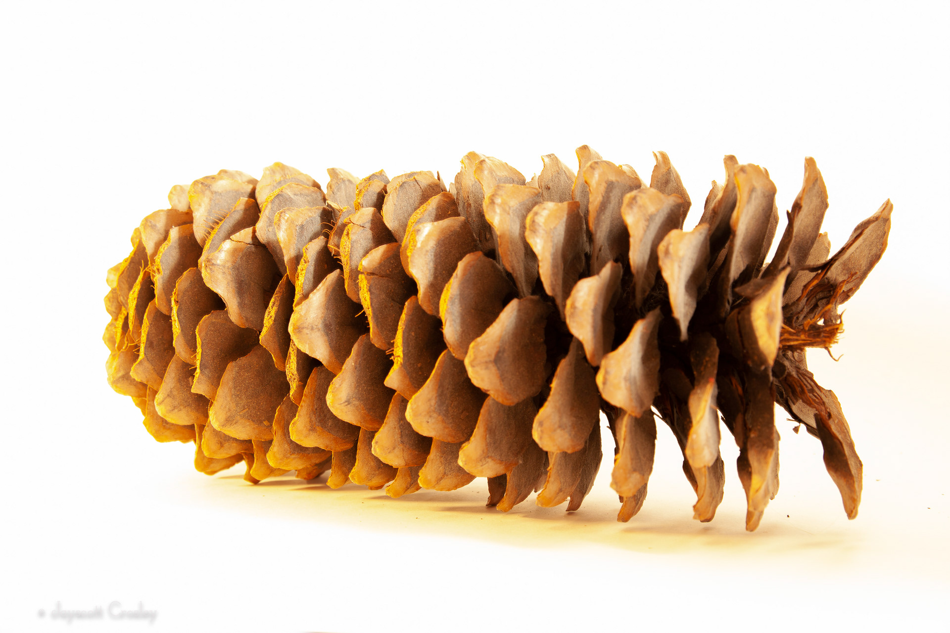 10. Side light cone - photo by Jayscott Crosley