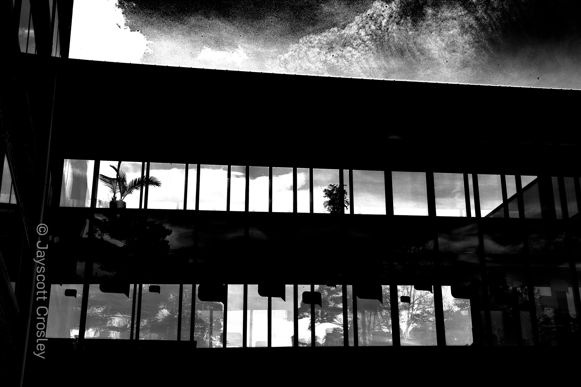 High_Contrast_Safari_Salem_MA_Bridge of reflections between Essex and Church Street the glass and light give glimpses of inside and out_f/16_1/160_ISO 100_photo by Jayscott Crosley