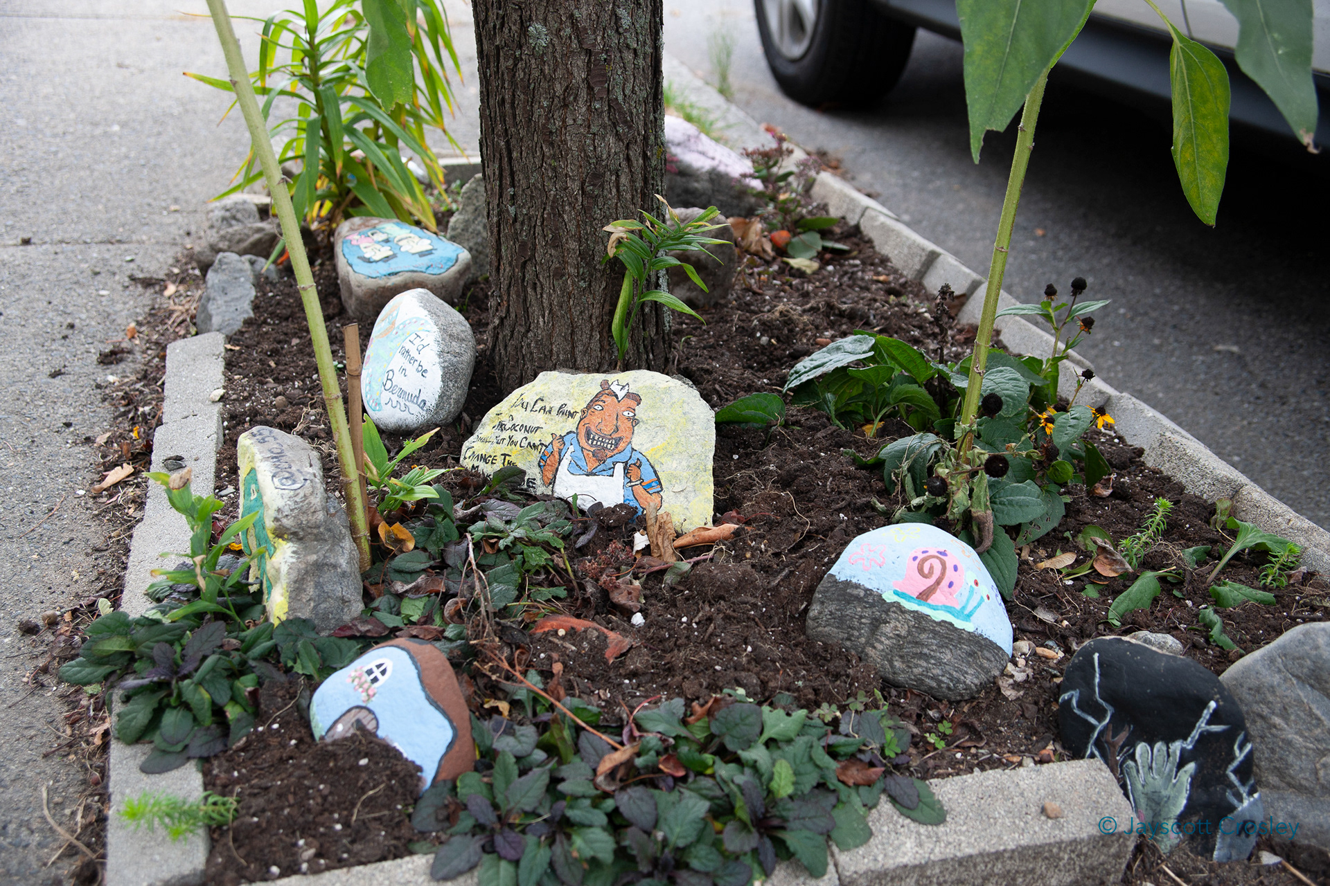 f5.0 1/250 ISO 400 "Rock Garden" 12-October-2020_Bow St_Beverly MA_photo by Jayscott Crosley