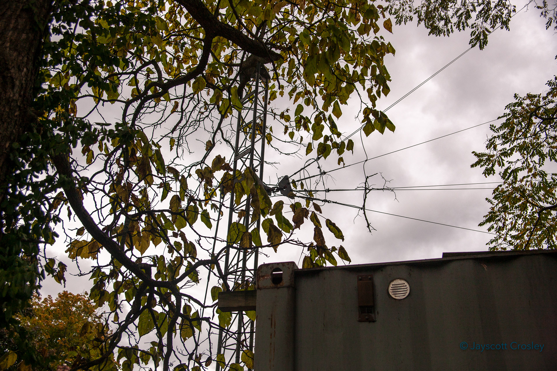 f5.0 1/4000 ISO 400 "Wire Web" 12-October-2020_Bow St_Beverly MA_photo by Jayscott Crosley
