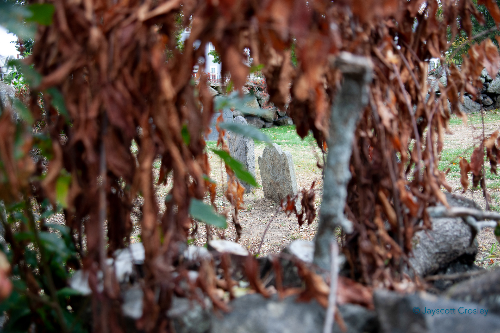f4.0 1/320 ISO 400 "Grave ring" 12-October-2020_Bow St_Beverly MA_photo by Jayscott Crosley