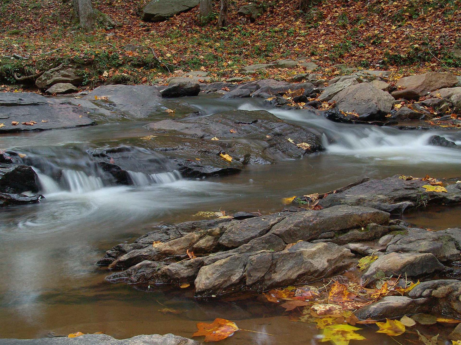 Victoria Bryant Park, Georgia