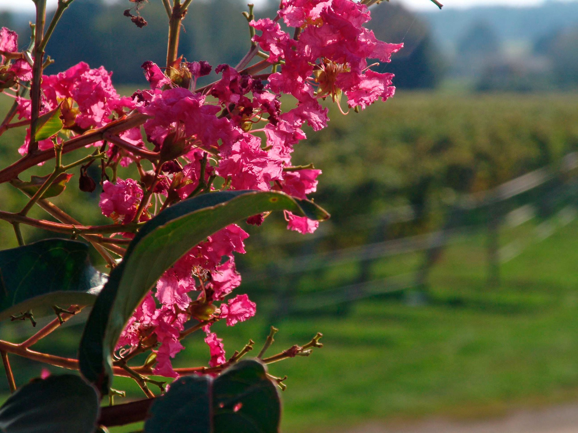 Long Island, New York