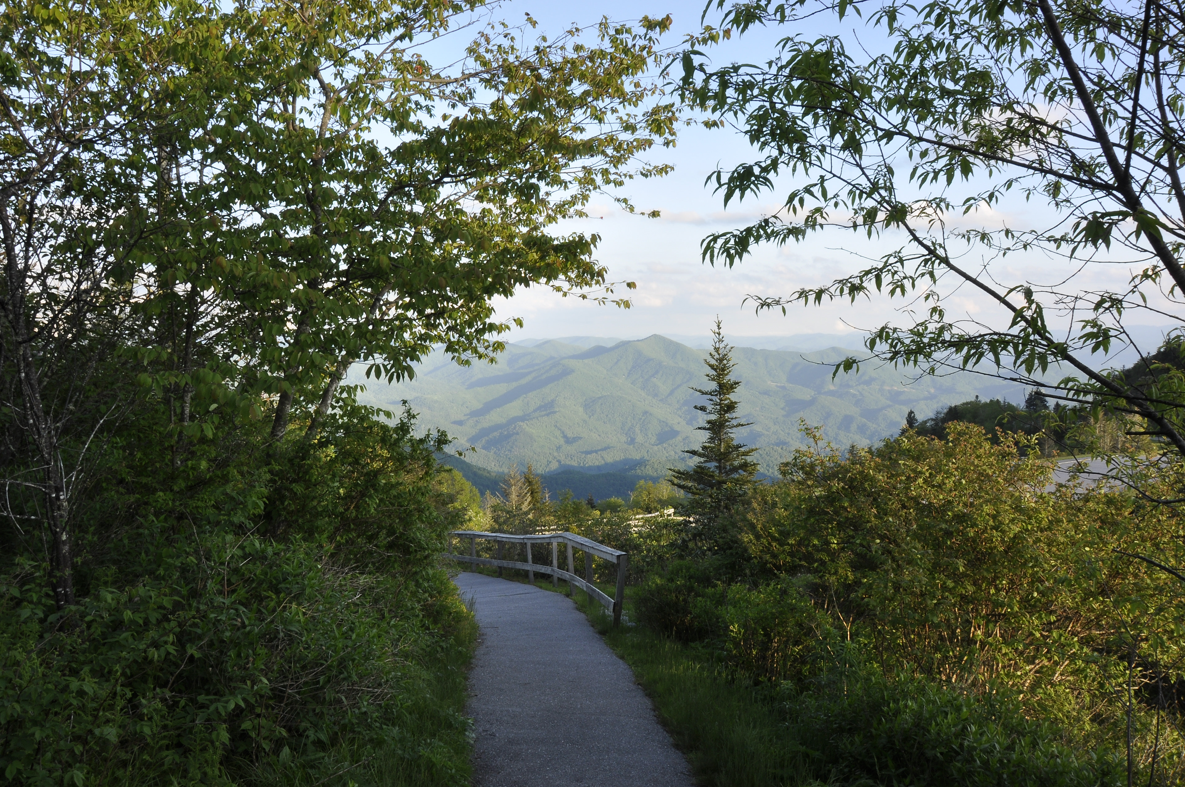 Waterrock Knob, Blue Ridge Parkway