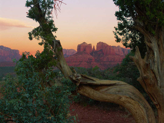 Catherderal Rock = Sedona, AZ