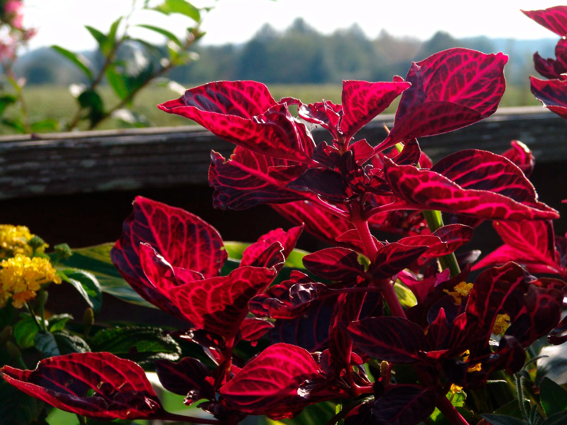 Long Island, New York