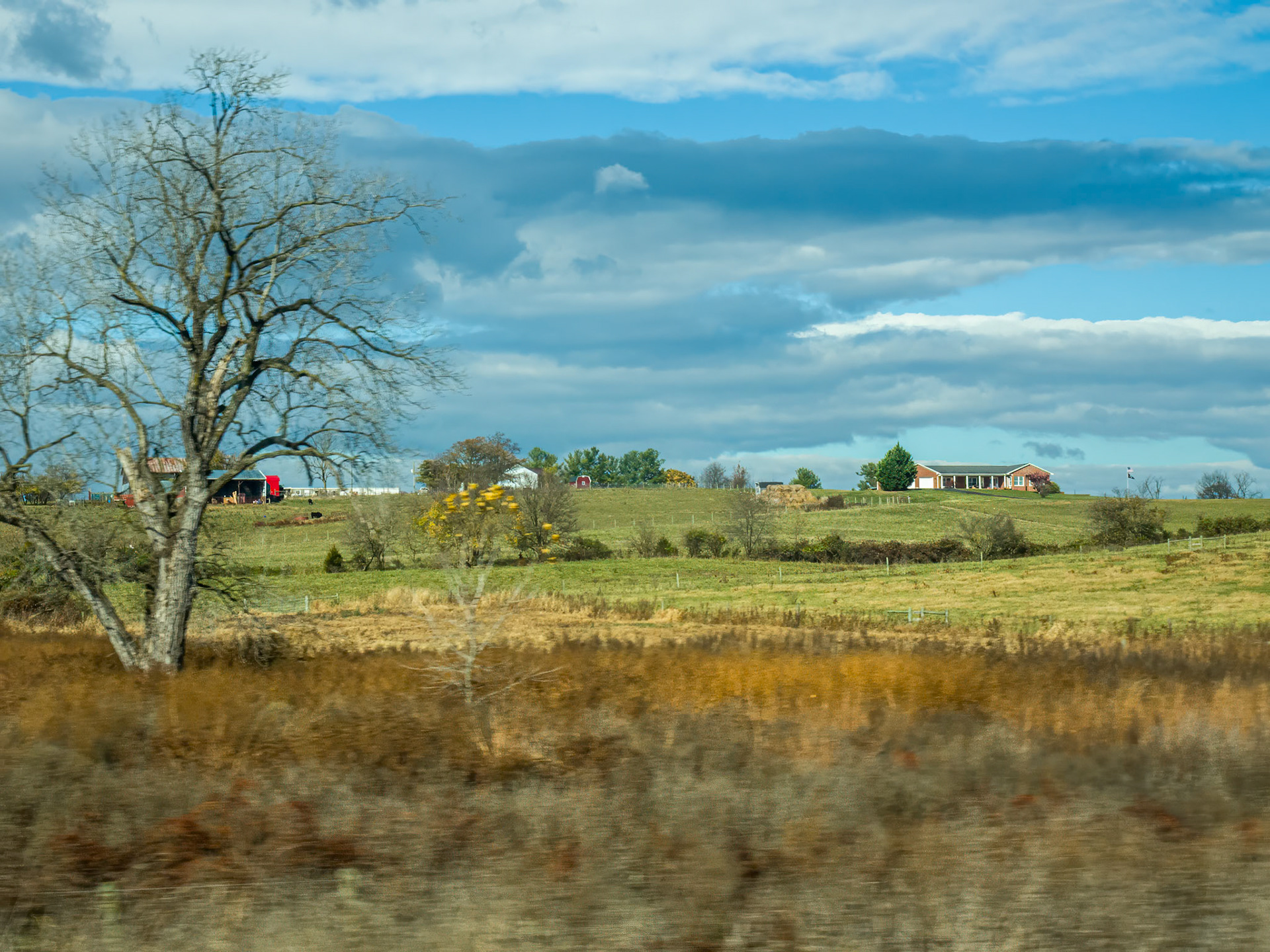Virginia Countryside