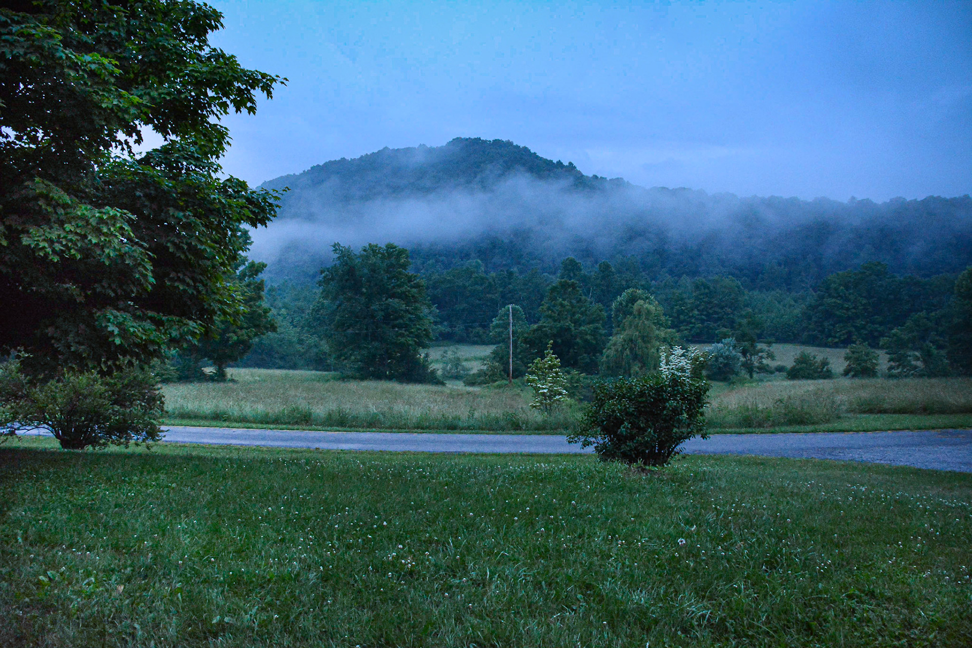 Morning Fog in Dry Fork