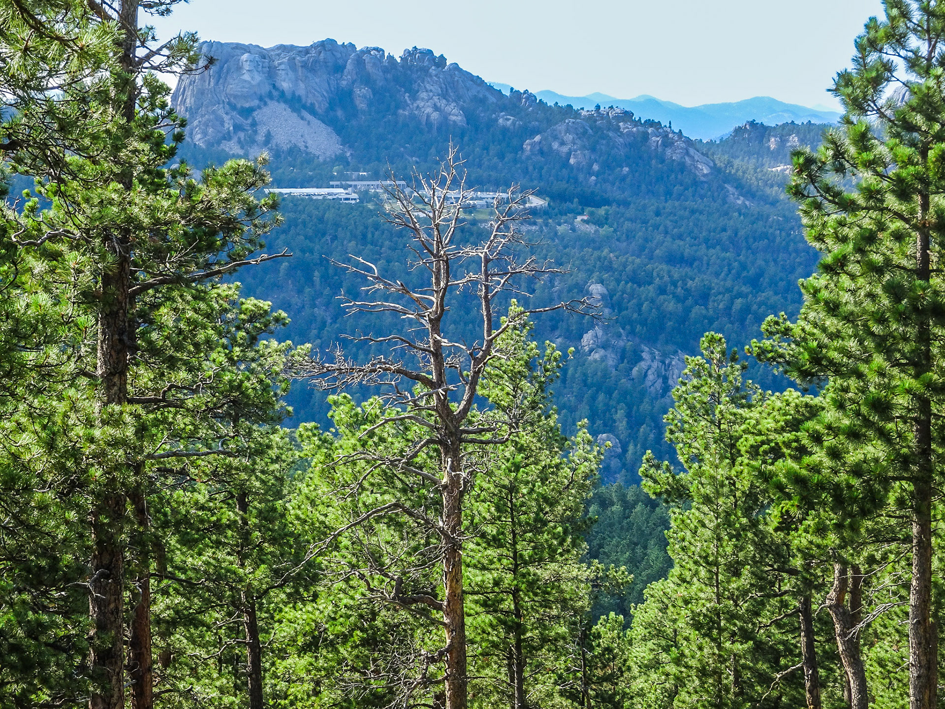 Black Hills, Nat'l Forest - SD