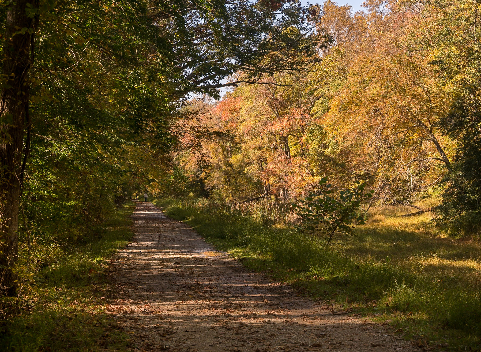An October afternoon of solitude on the C&O Canal Towparth in Maryland