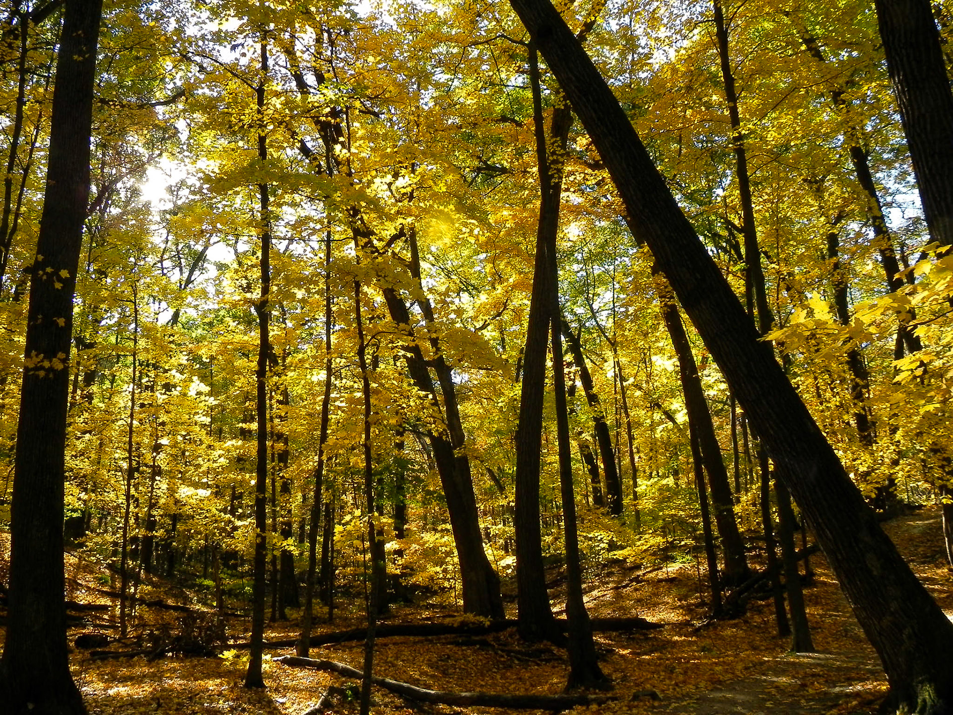 Door County, WI