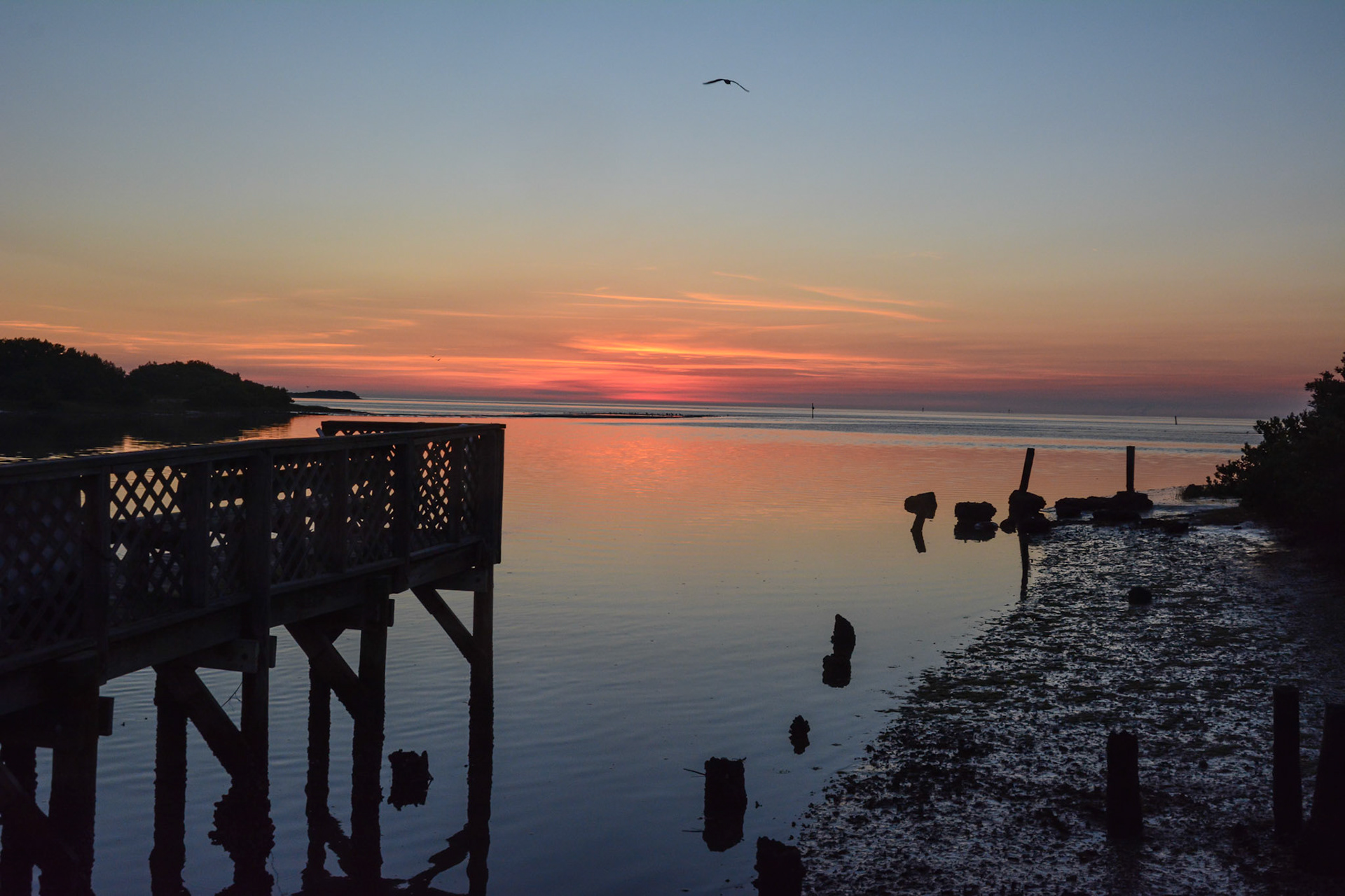 Cedar Key, FL