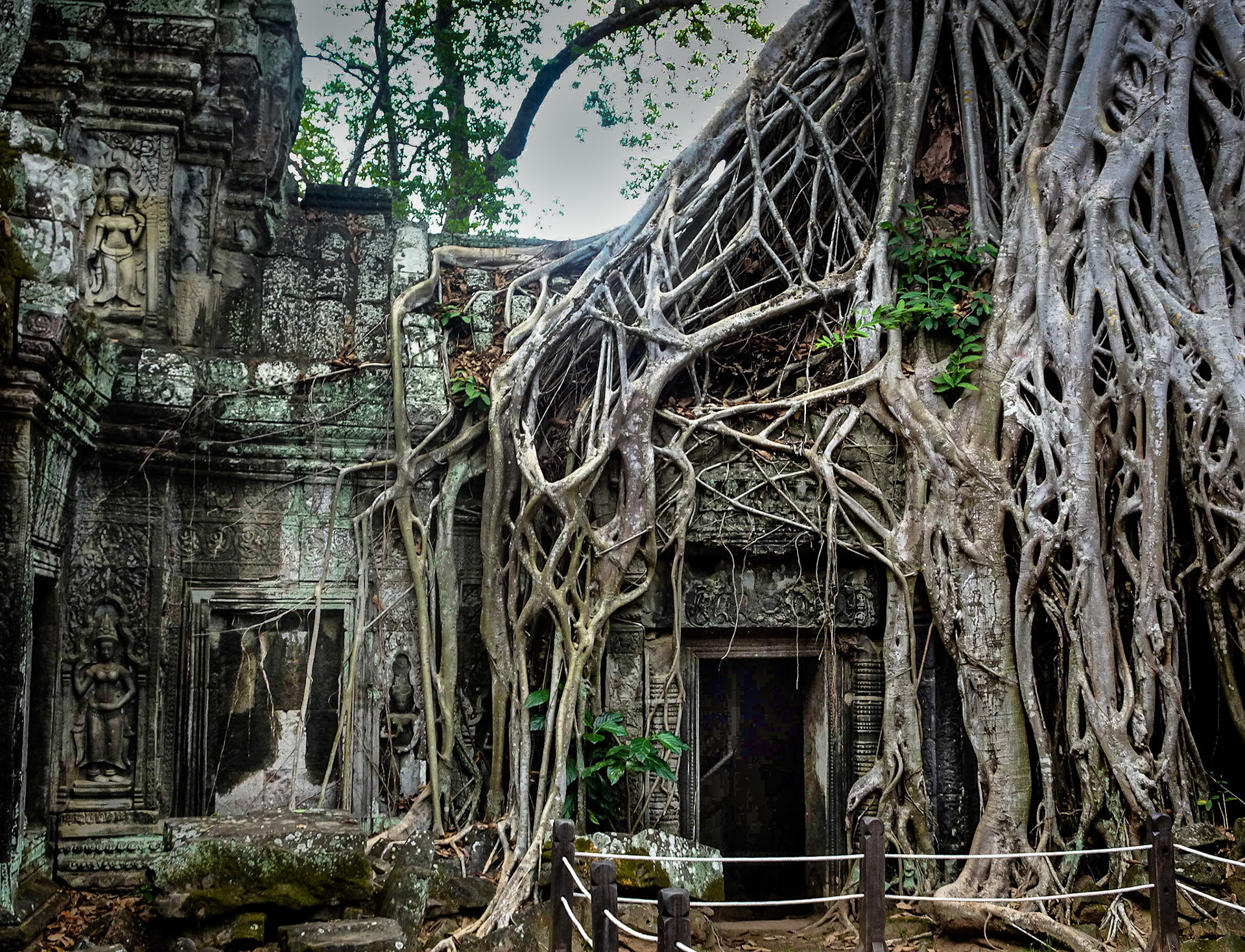 Ta Phrom ... could this be the site of the next Indiana Jones archeological adventure?