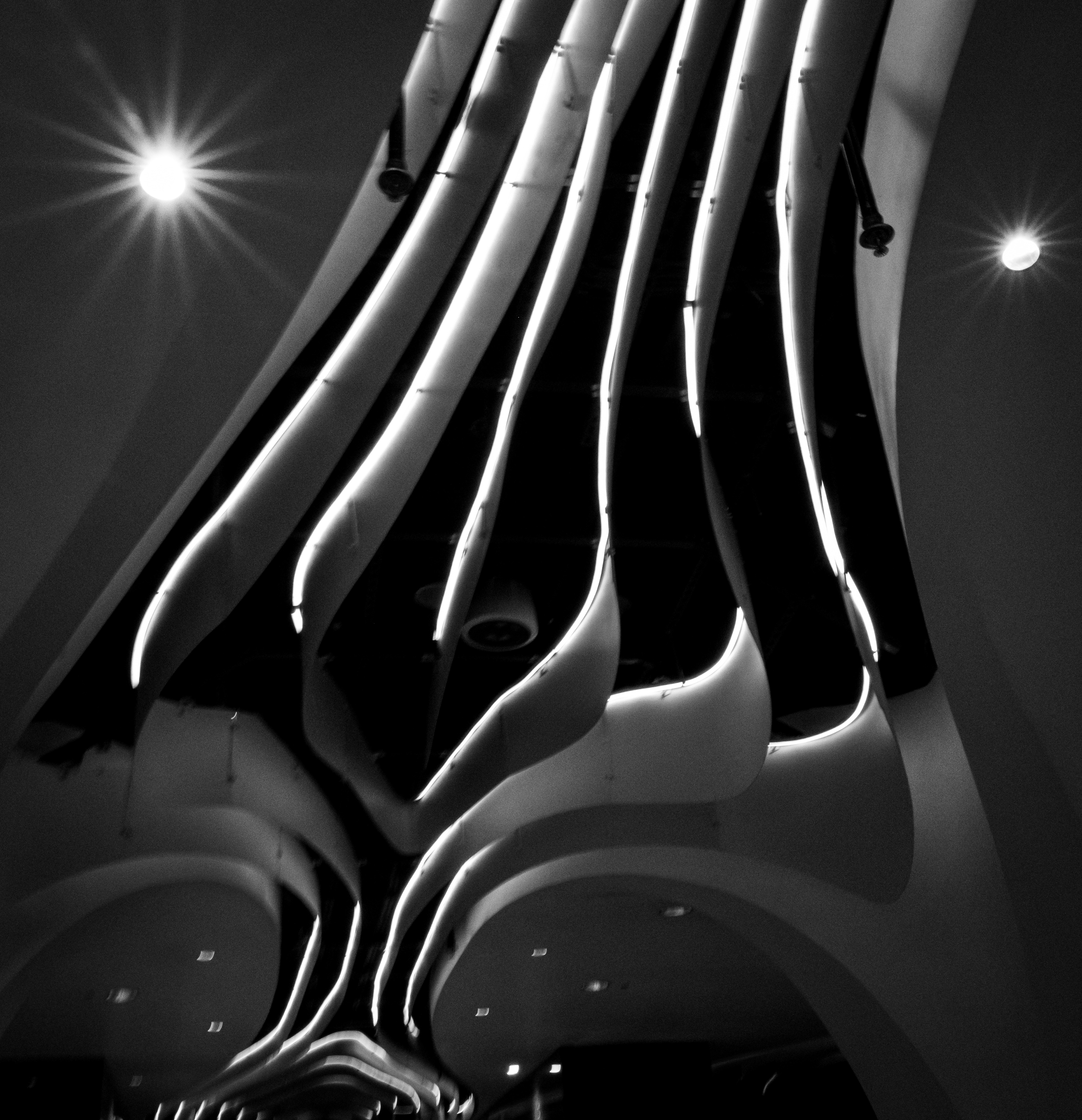 Shanghai, bianco e nero: un soffitto di lamelle curve illuminate scende come nastri di luce sopra le teste dei passanti — Fabio Alimonti