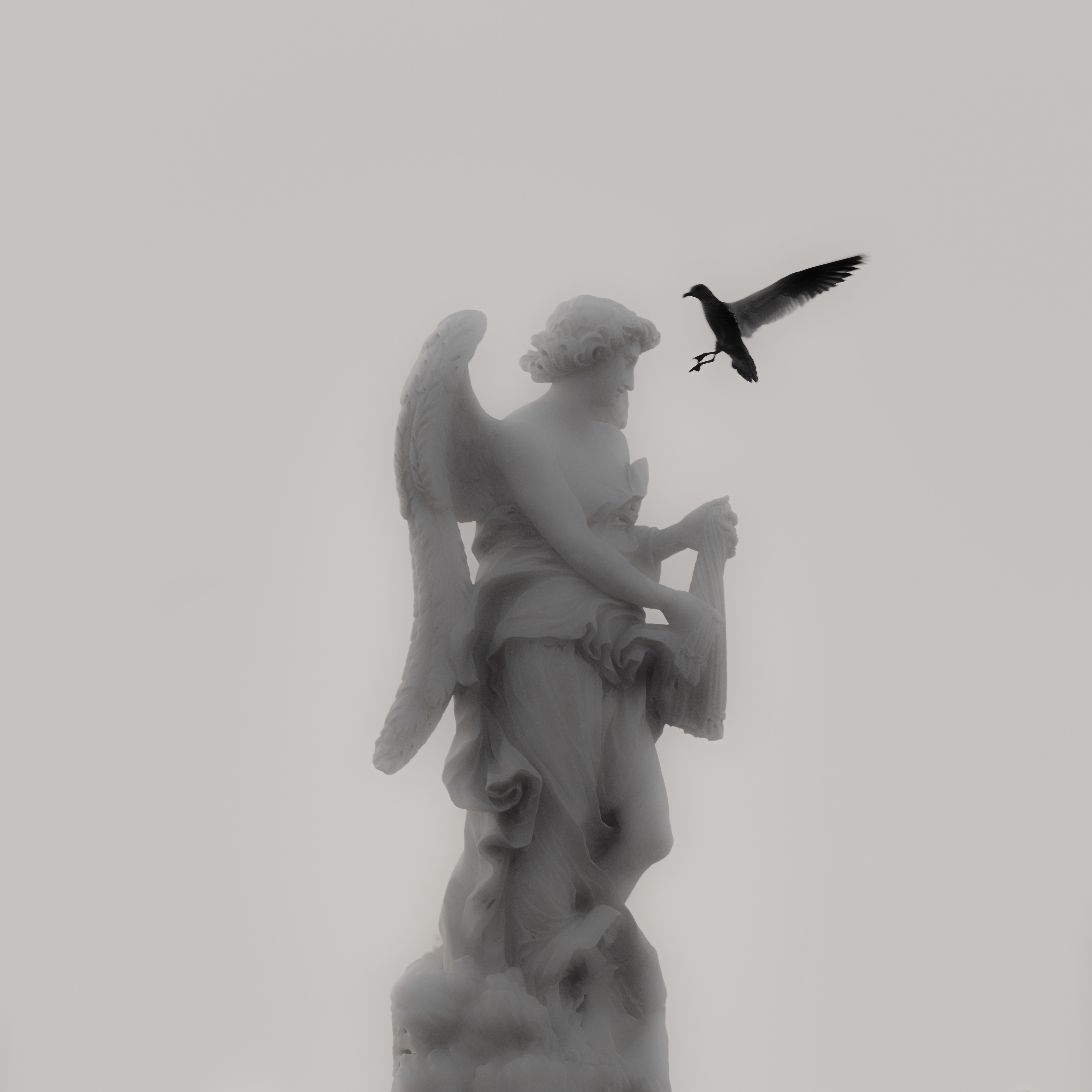 Il messaggero – angelo di marmo di Ponte Sant'Angelo nella nebbia con un gabbiano nero in volo, Roma. Fotografia di Fabio Alimonti