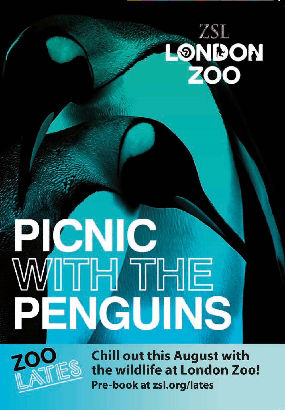 London Zoo lates poster
