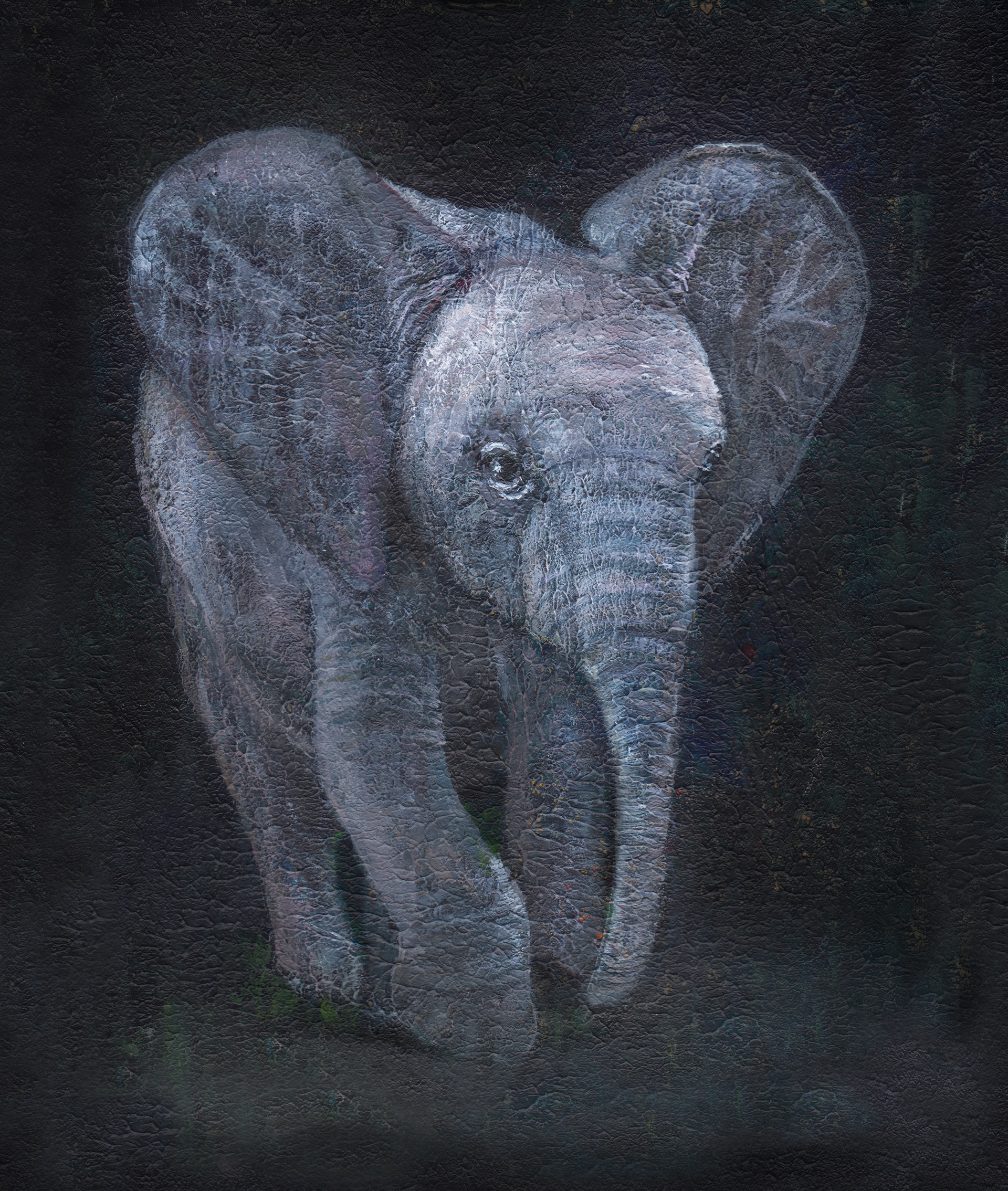 Baby Elephant