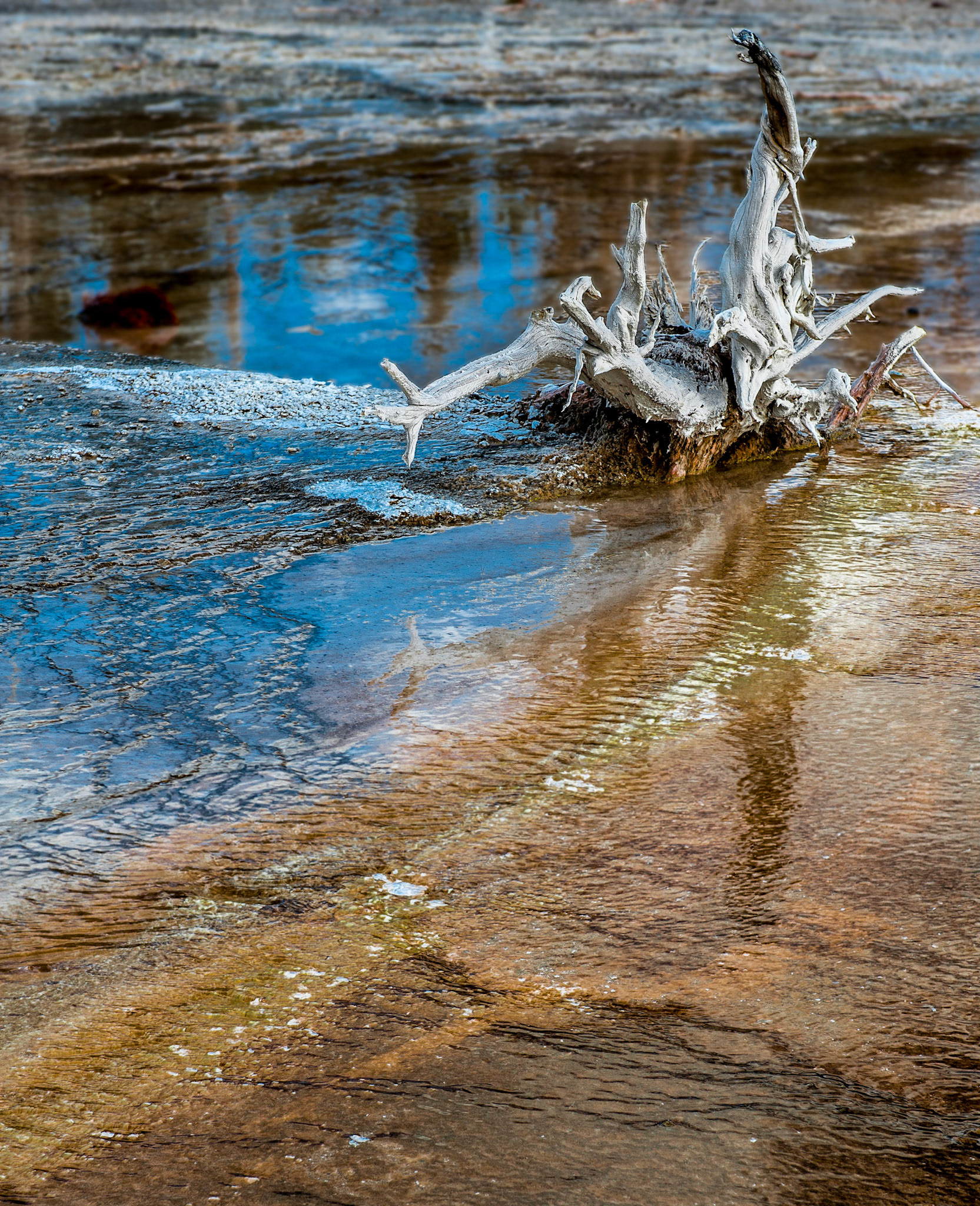 Yellowstone National Park