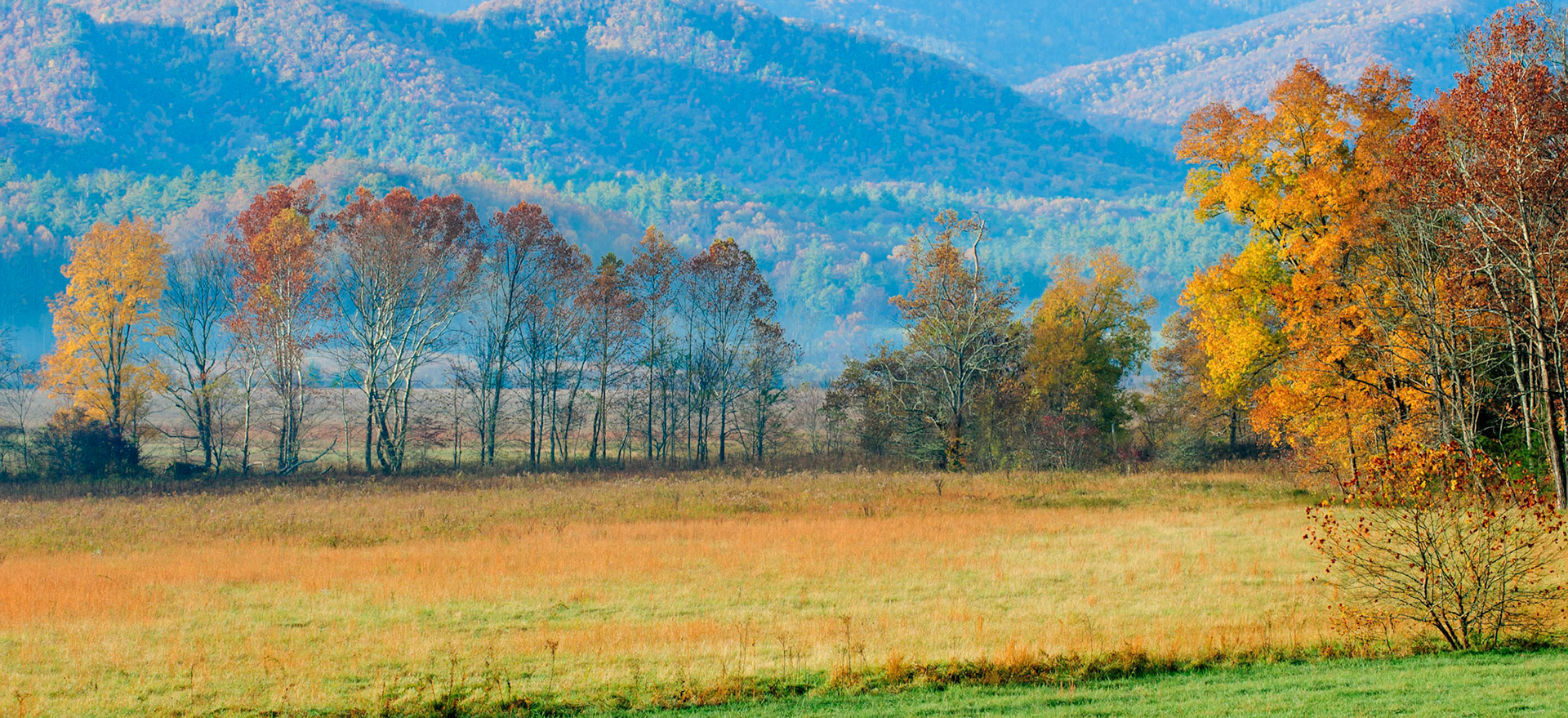 Autumn at Cades Cove. Great Smoky Mountains National Park.