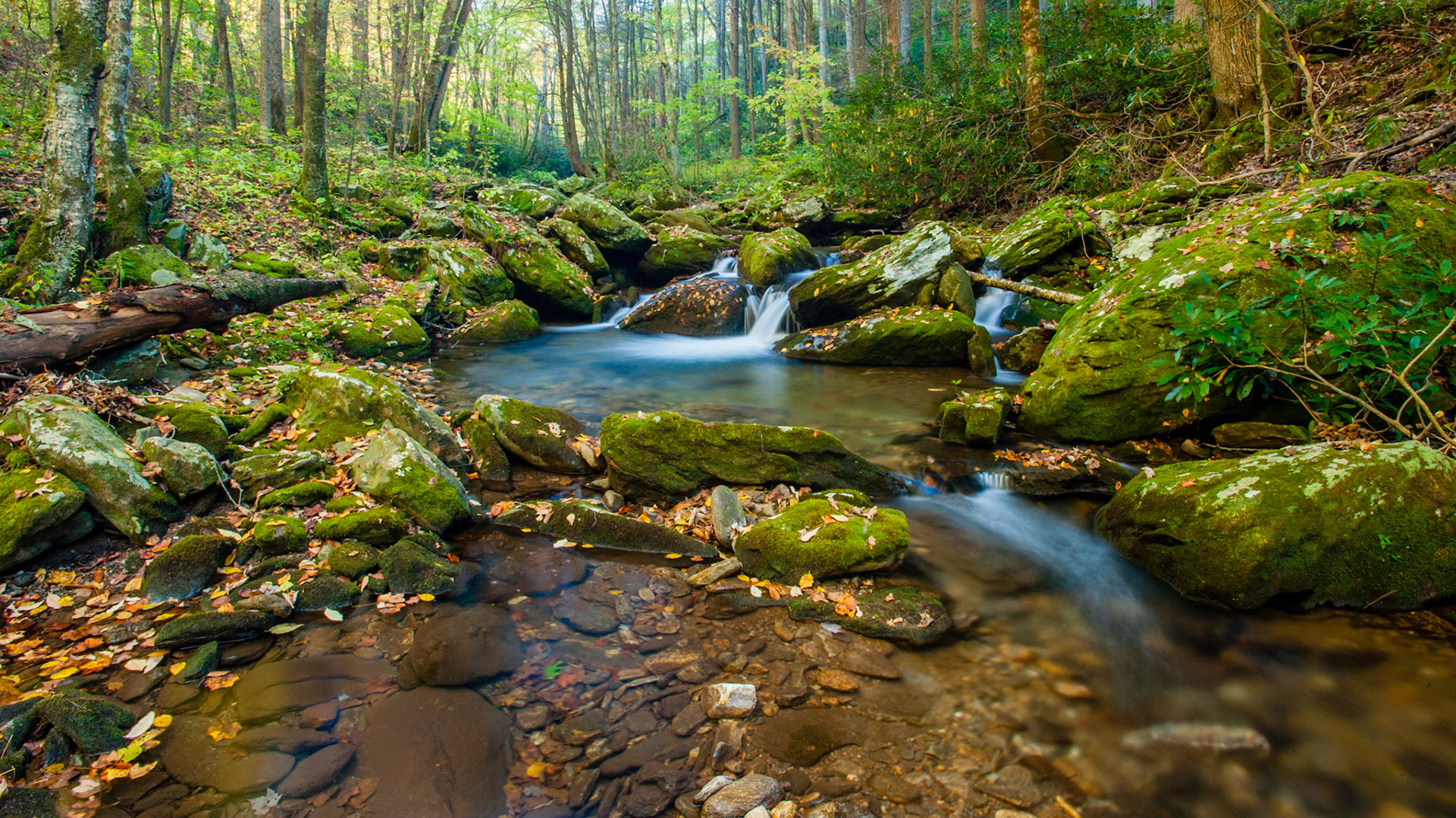 Color of the pool. Ivy NC.