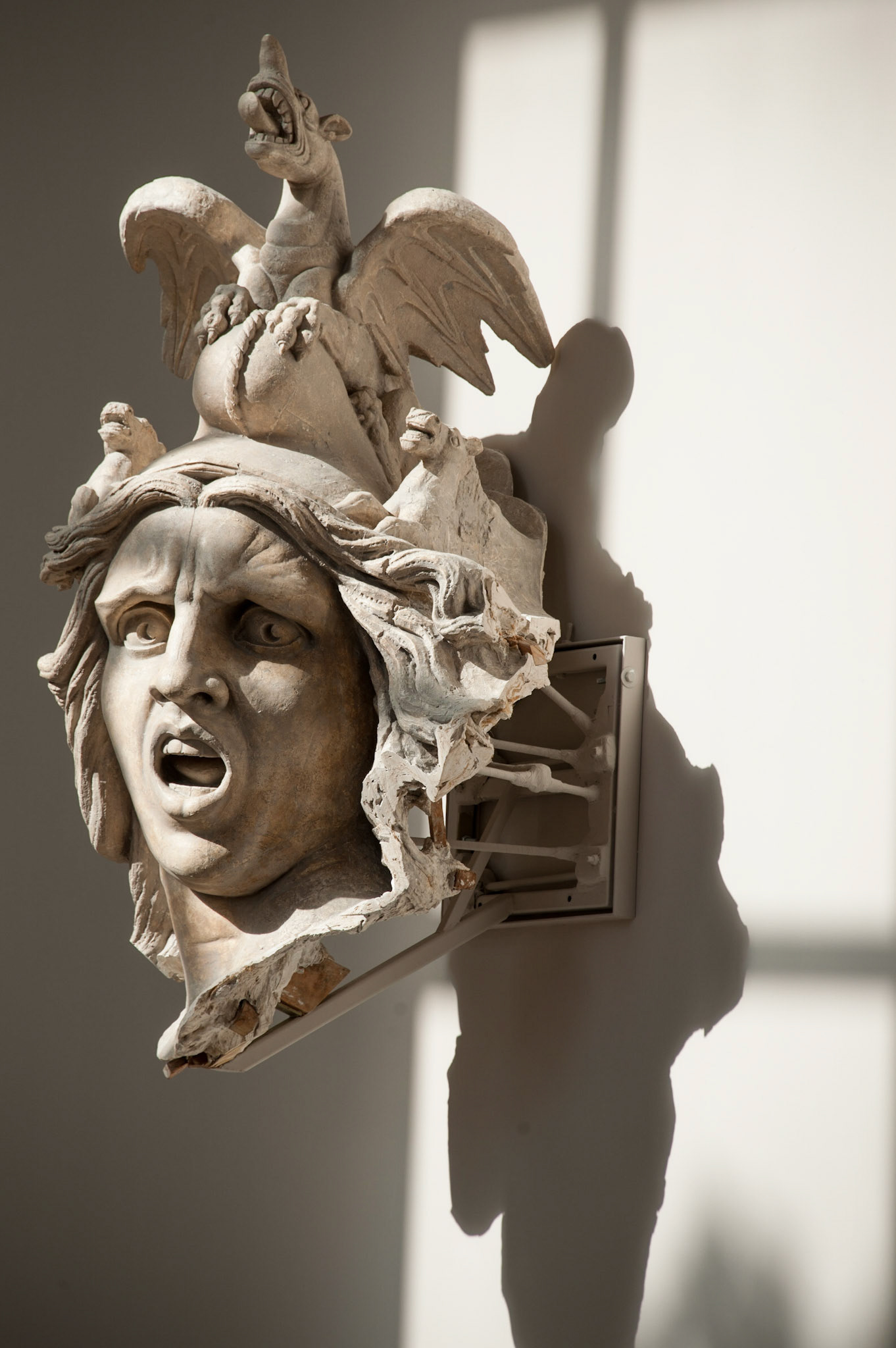 Bird on the head. Paris, France