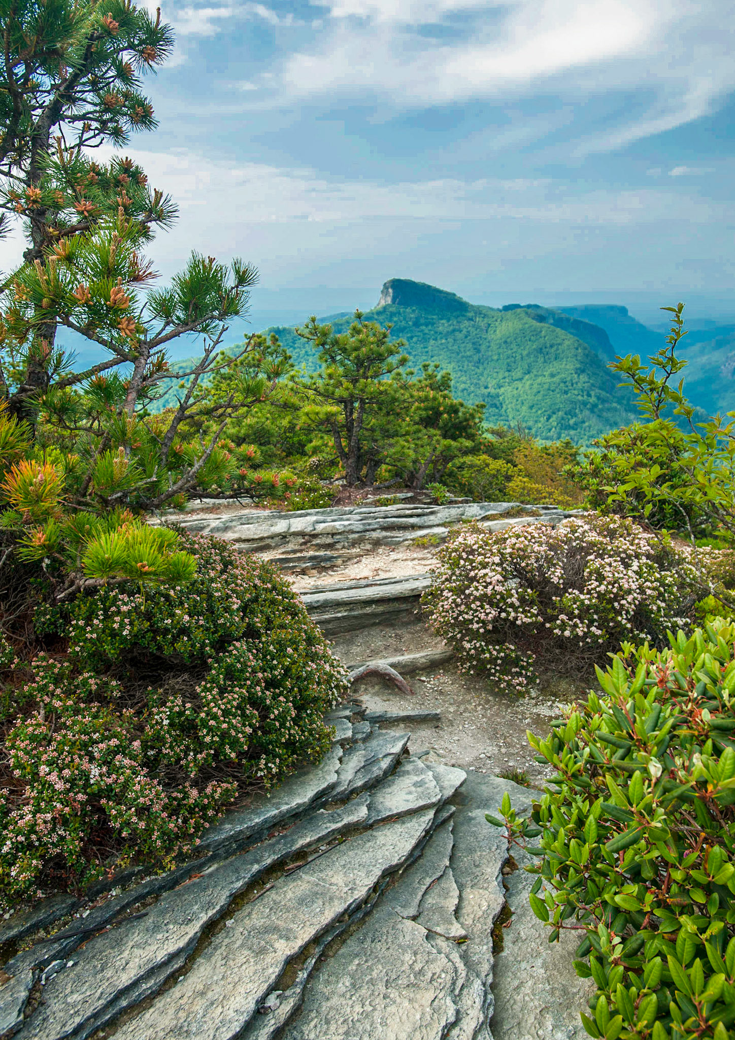 Table Rock Mtn from Hawksbill Mtn.