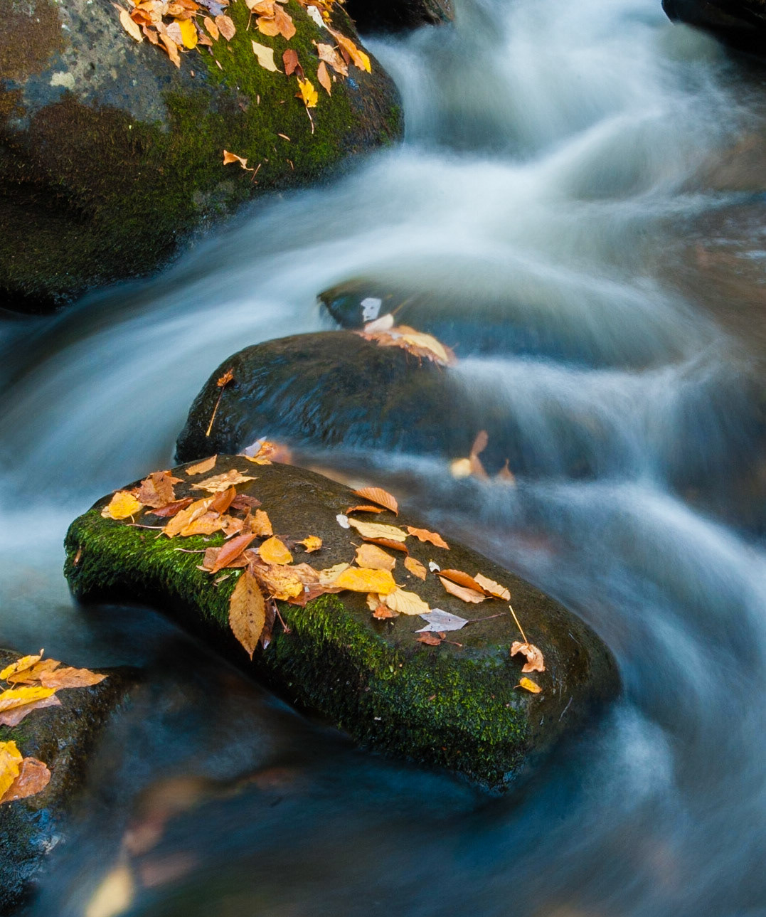 Flow from the top. Great Smoky Mountains National Park.