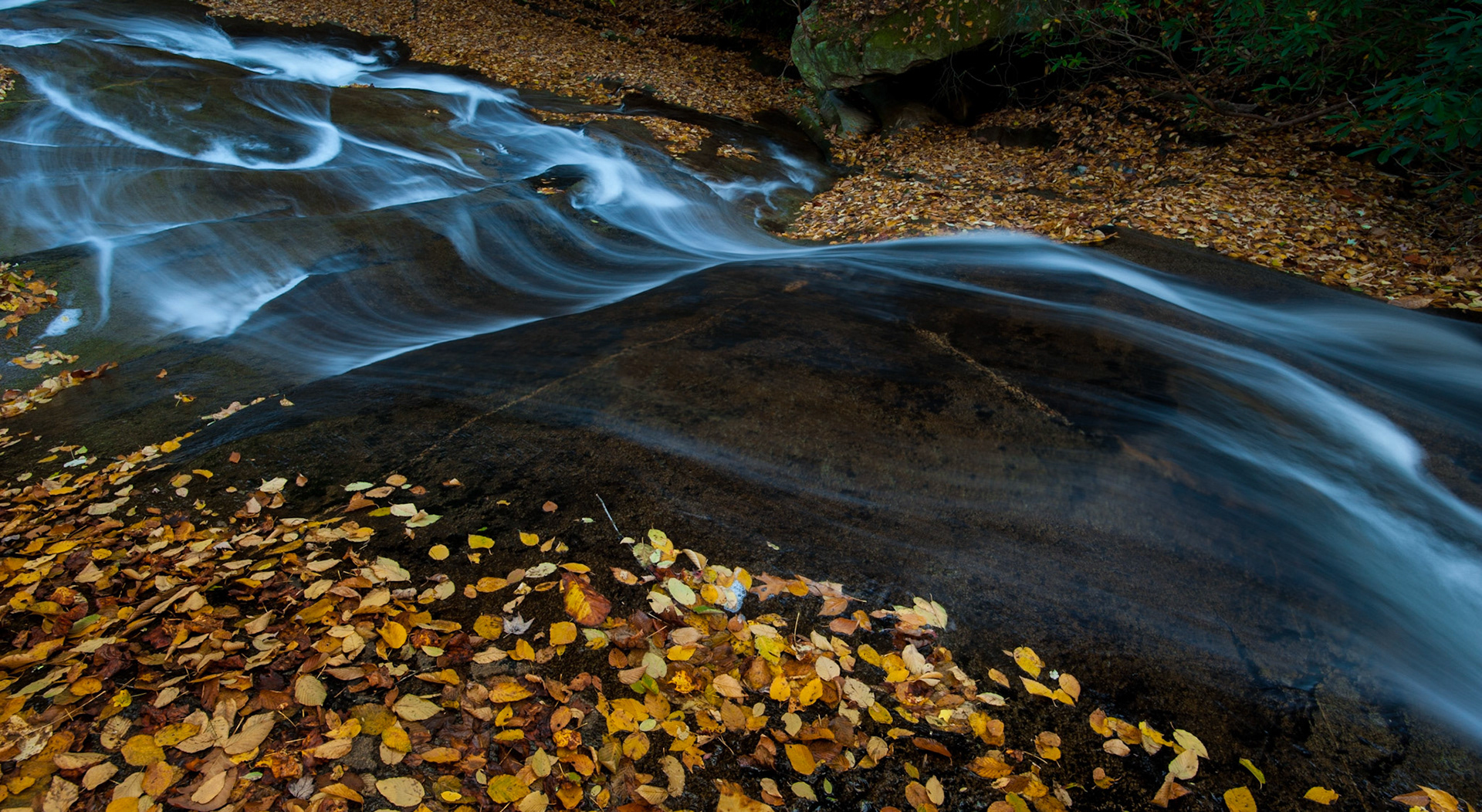Blue streaks. Brevard, NC.