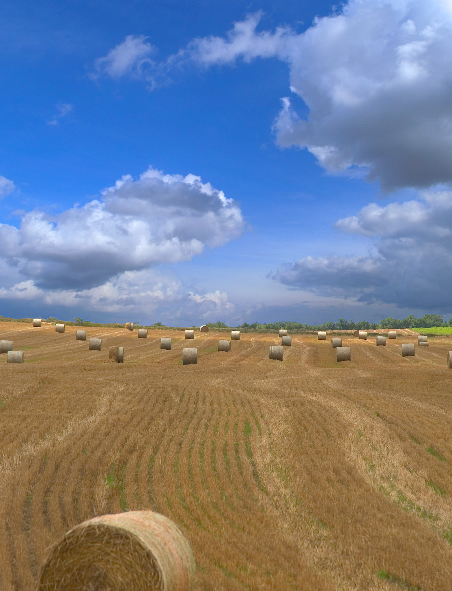 Unsharp mask of 90% was applied to final prints and has been saved within this file. 13x17 image was printed using ImagePrint and ep2200pk_b_PrGlssyPh2880_ETUNG.icm.