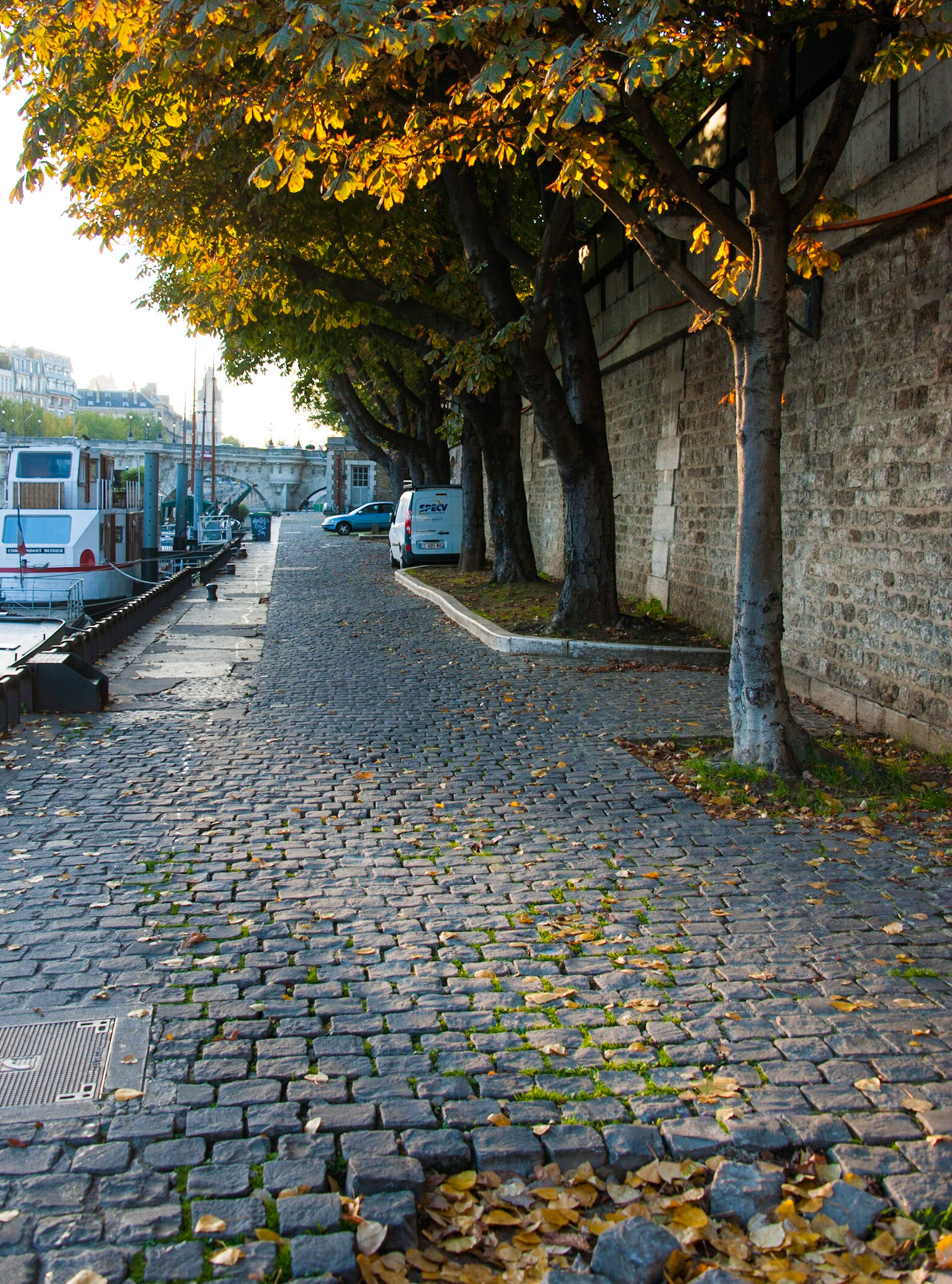 Cobbled walkway. Paris, France