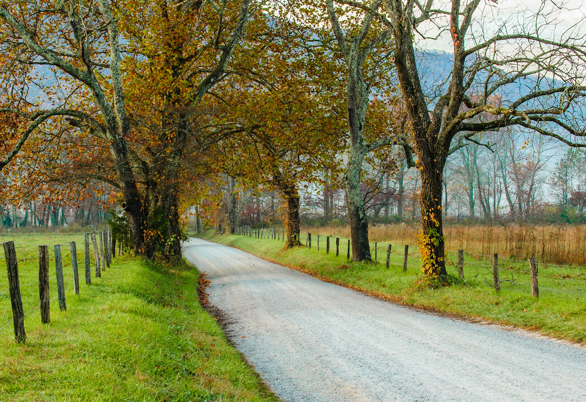 Sparks Lane. Cades Cove, Great Smoky Mountains National Park.