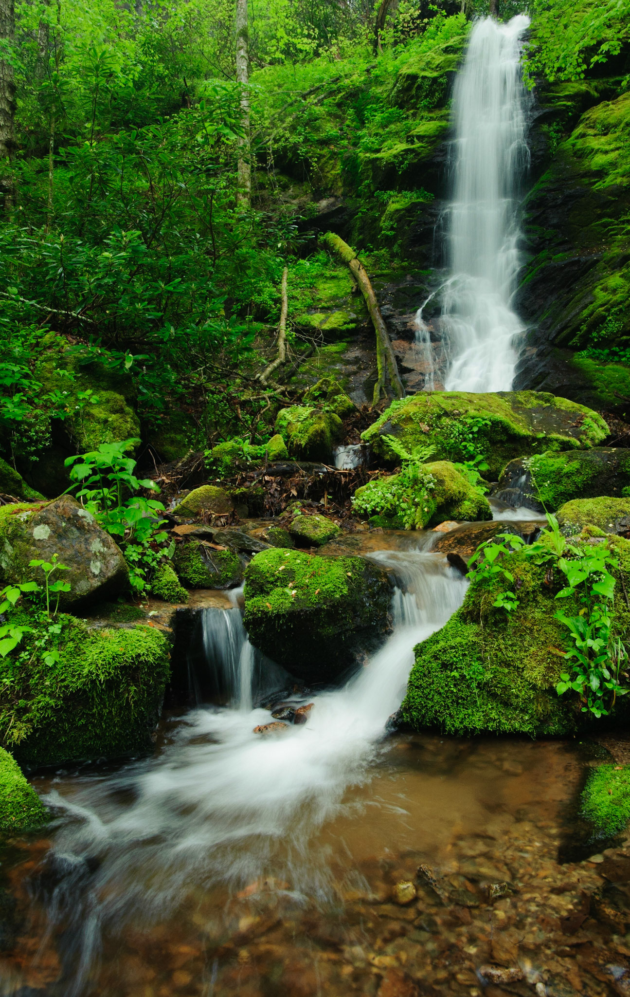 Spring falls. Fines Creek, NC.