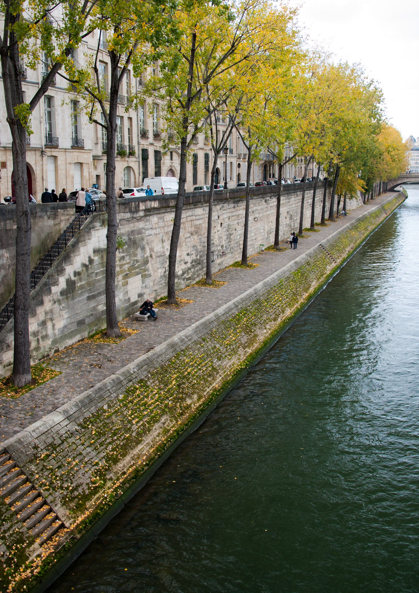 Row of trees. Paris, France