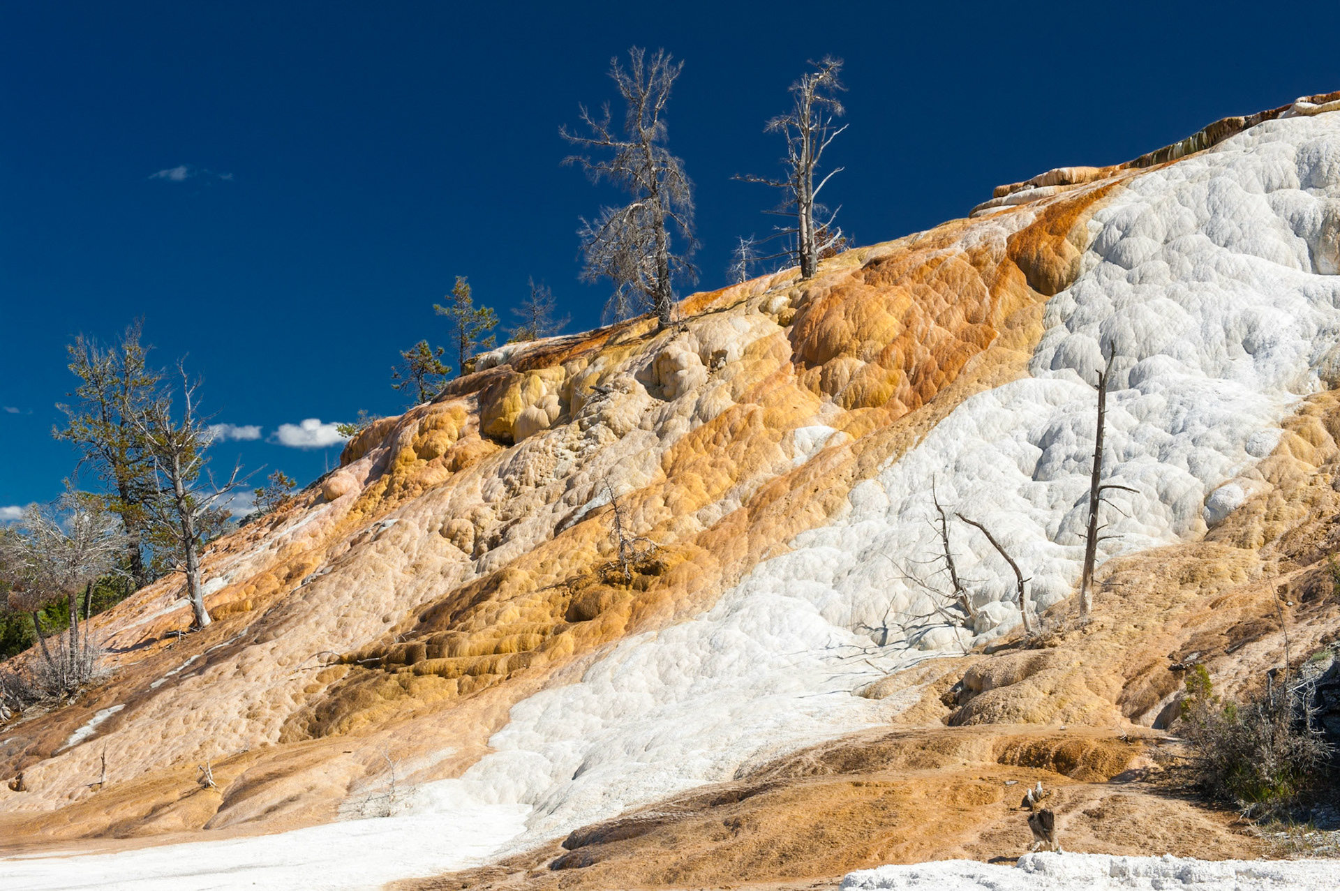 Yellowstone National Park
