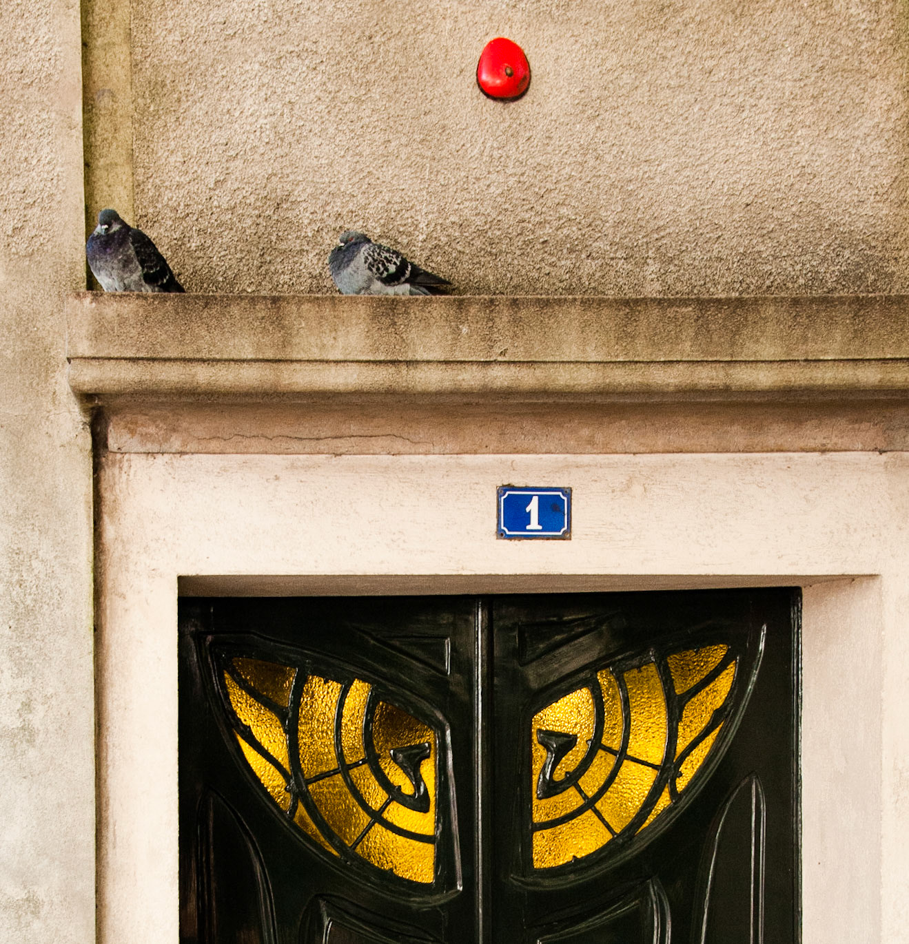 Yellow eyes. Paris, France