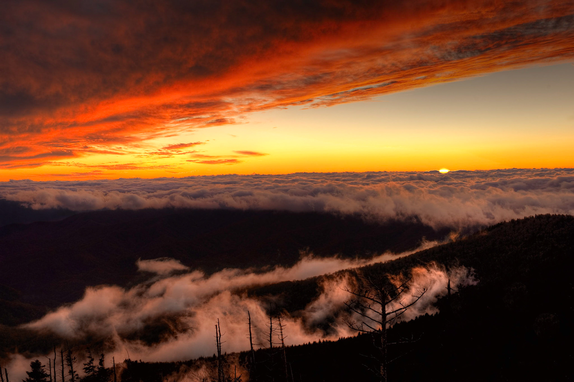 Wind and clouds. Clingmans Dome, Great Smoky Mountains National Park.