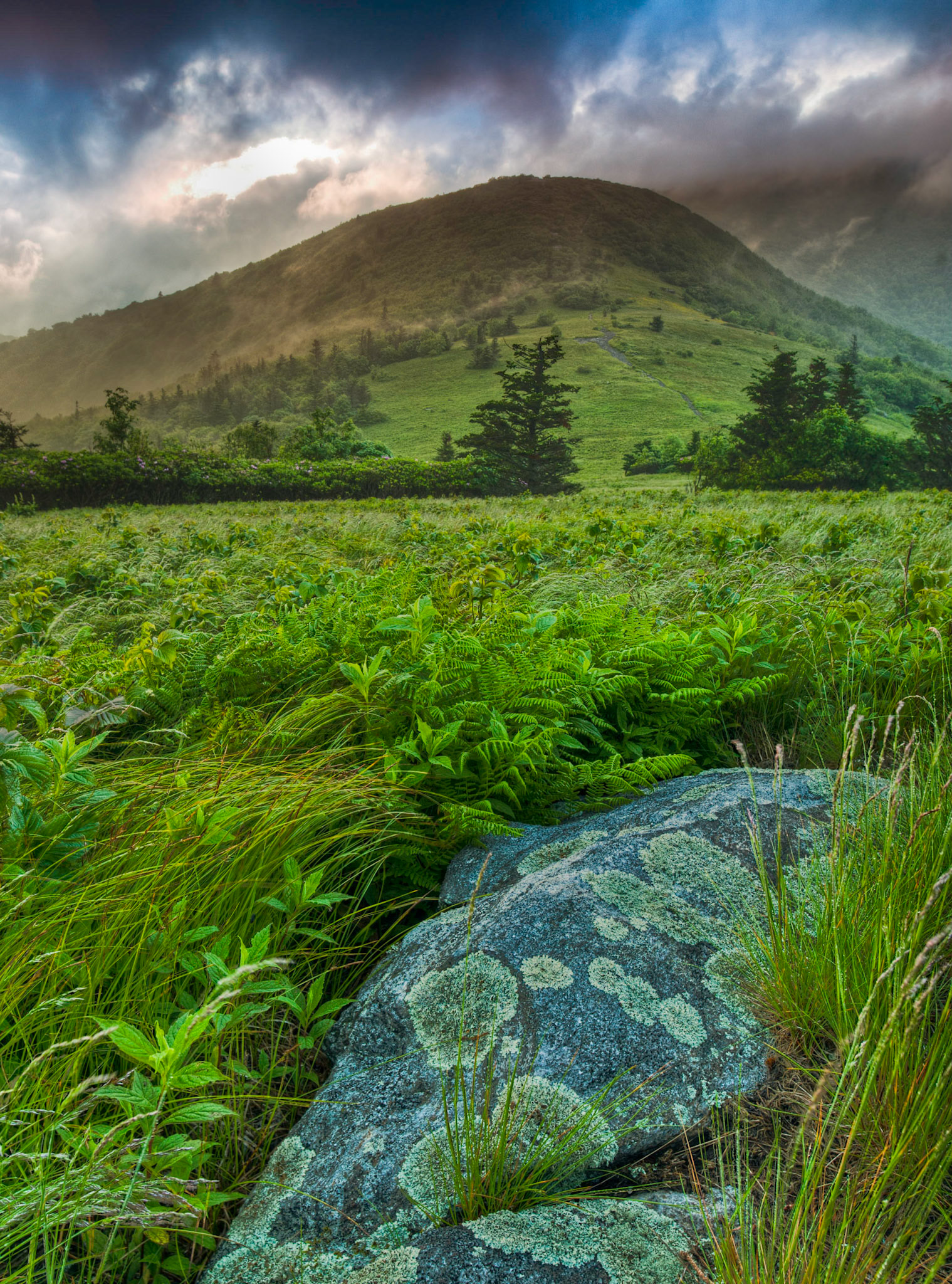 Roan rain clouds. Roan Mountain, NC.