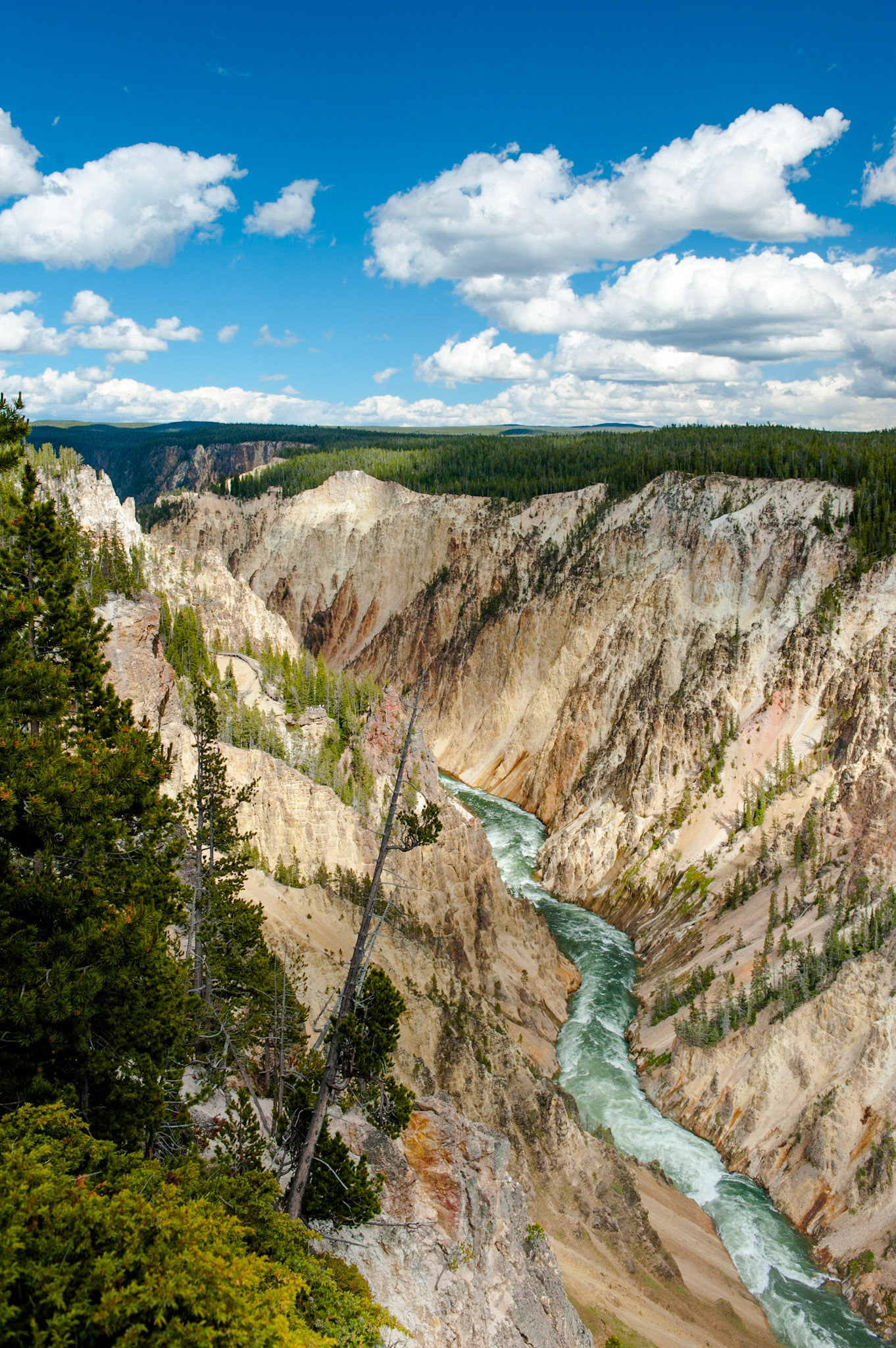 Yellowstone National Park