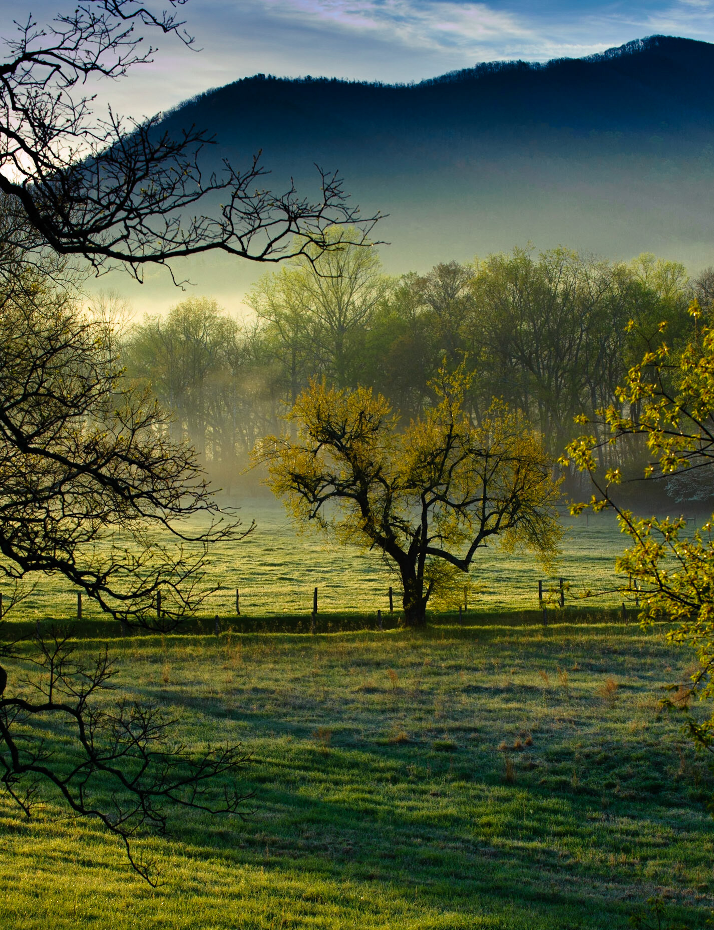 Cades Cove spring morning. Great Smoky Mountains National Park.