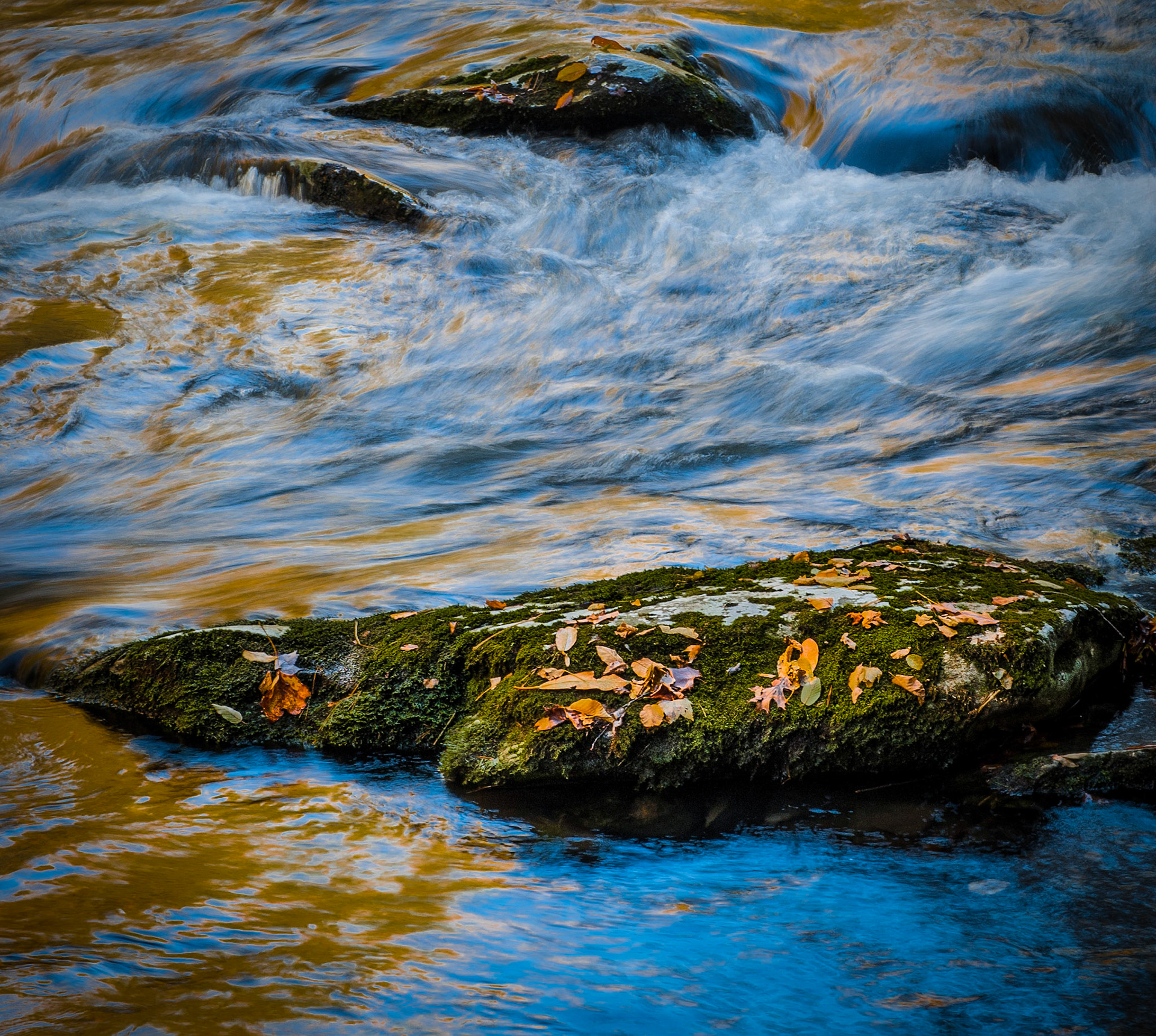 The blues. Great Smoky Mountains National Park.