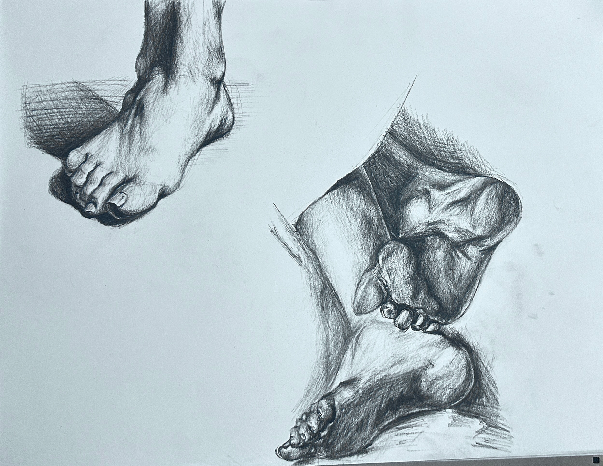 Feet Study (2025) 18x24" Charcoal pencil on paper