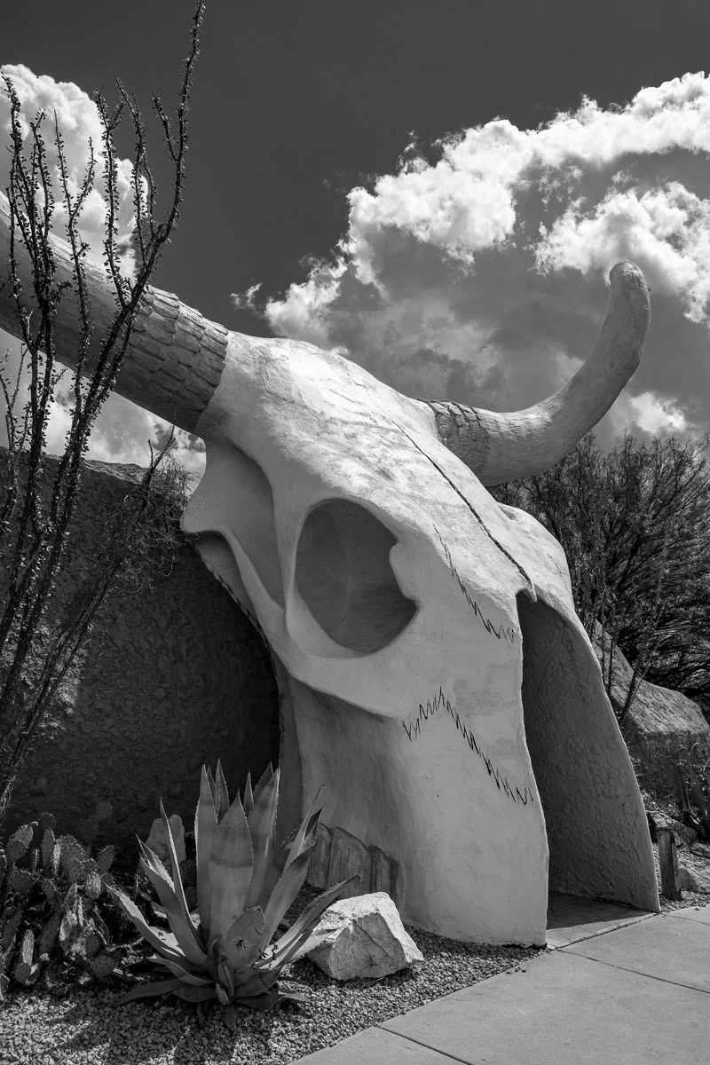 Vegan Hell Amado , AZ